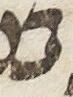 Letter - #9528