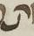 Letter - #9605