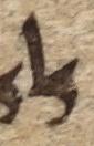 Ligature - #9742