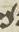 Letter - #9918