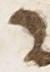 Letter - #9925