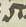 Letter - #9945