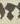 Letter - #9952