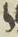 Letter - #9966