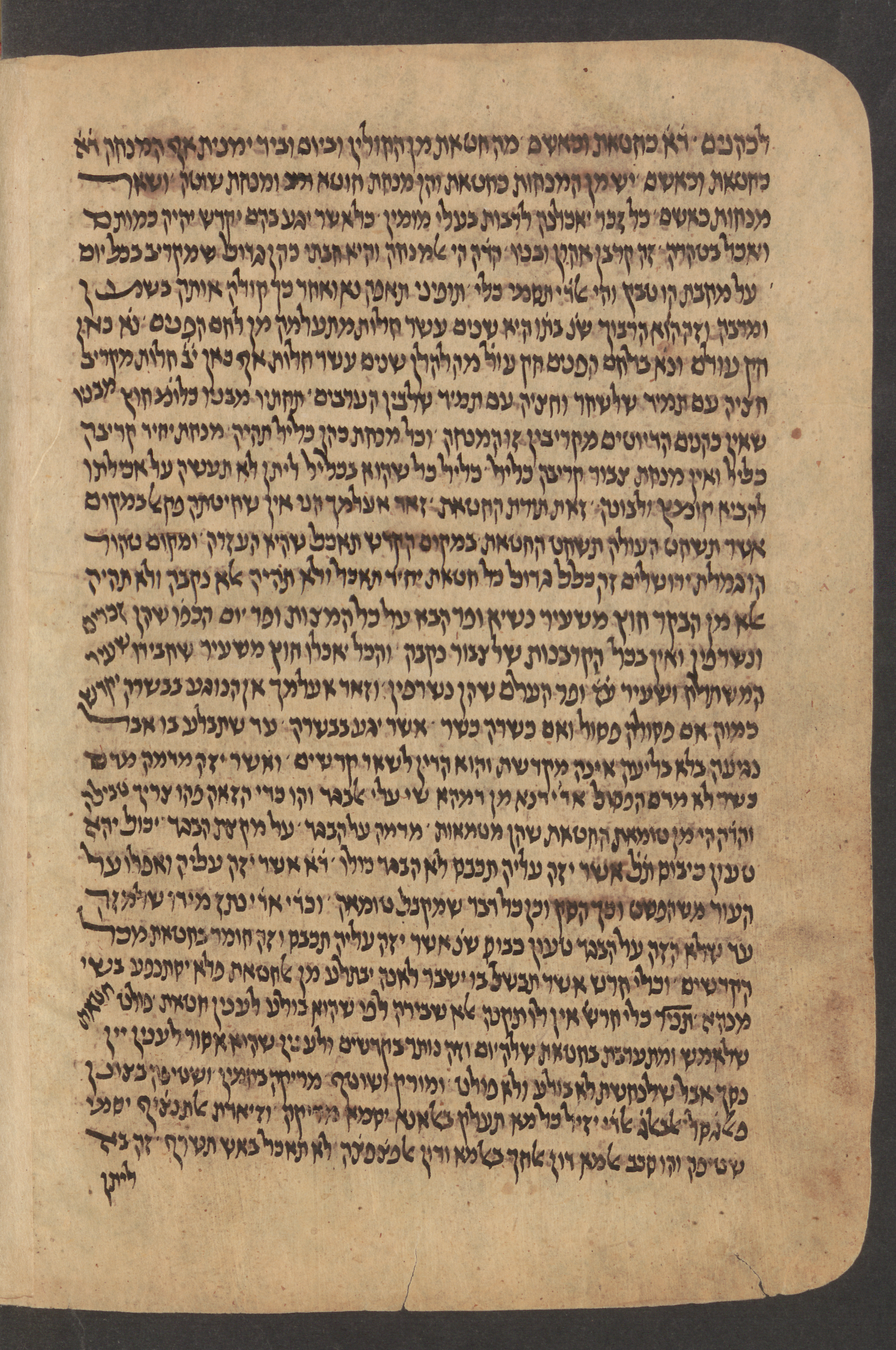 Image of item, e.g. a manuscript page