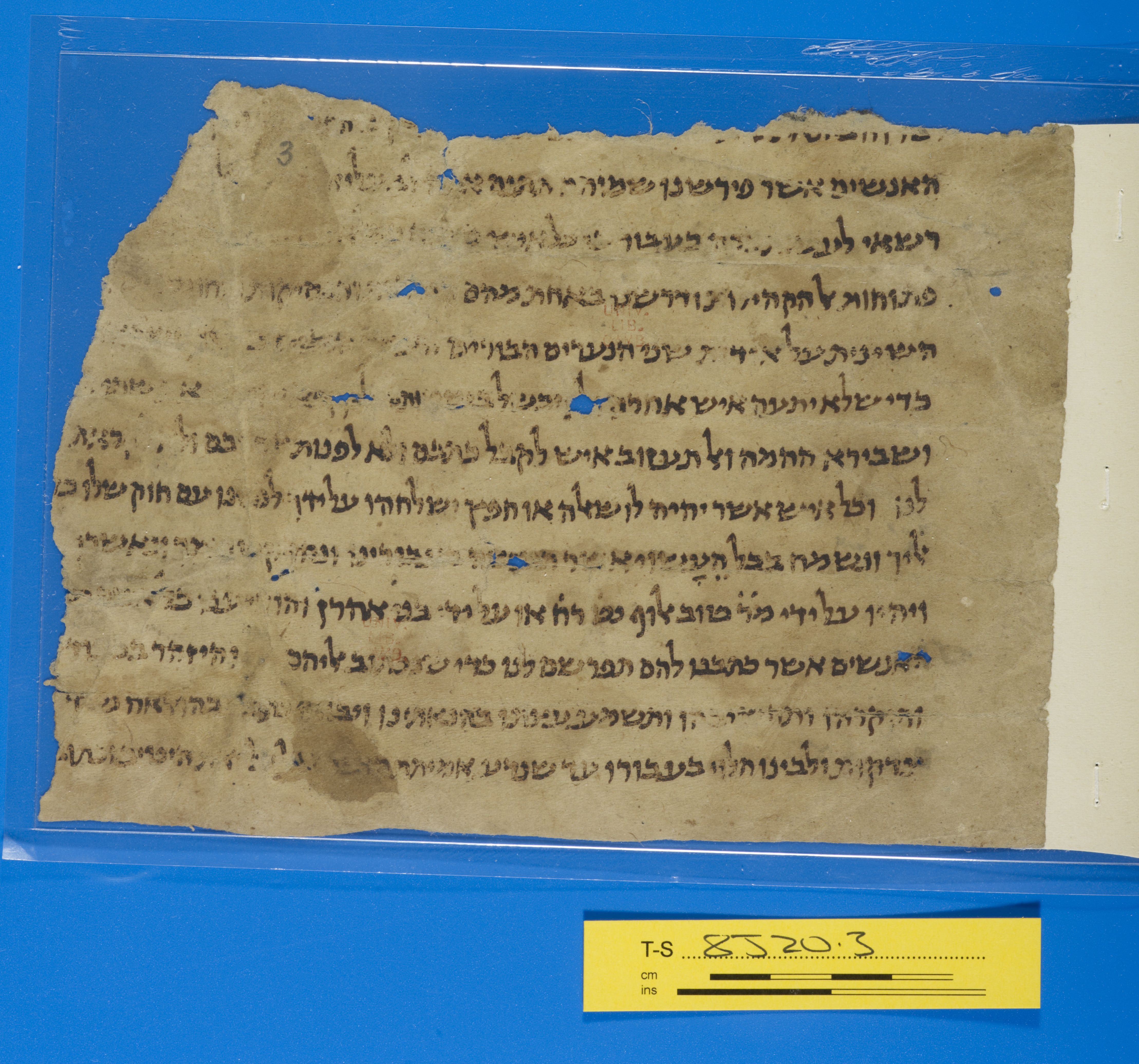 Image of item, e.g. a manuscript page