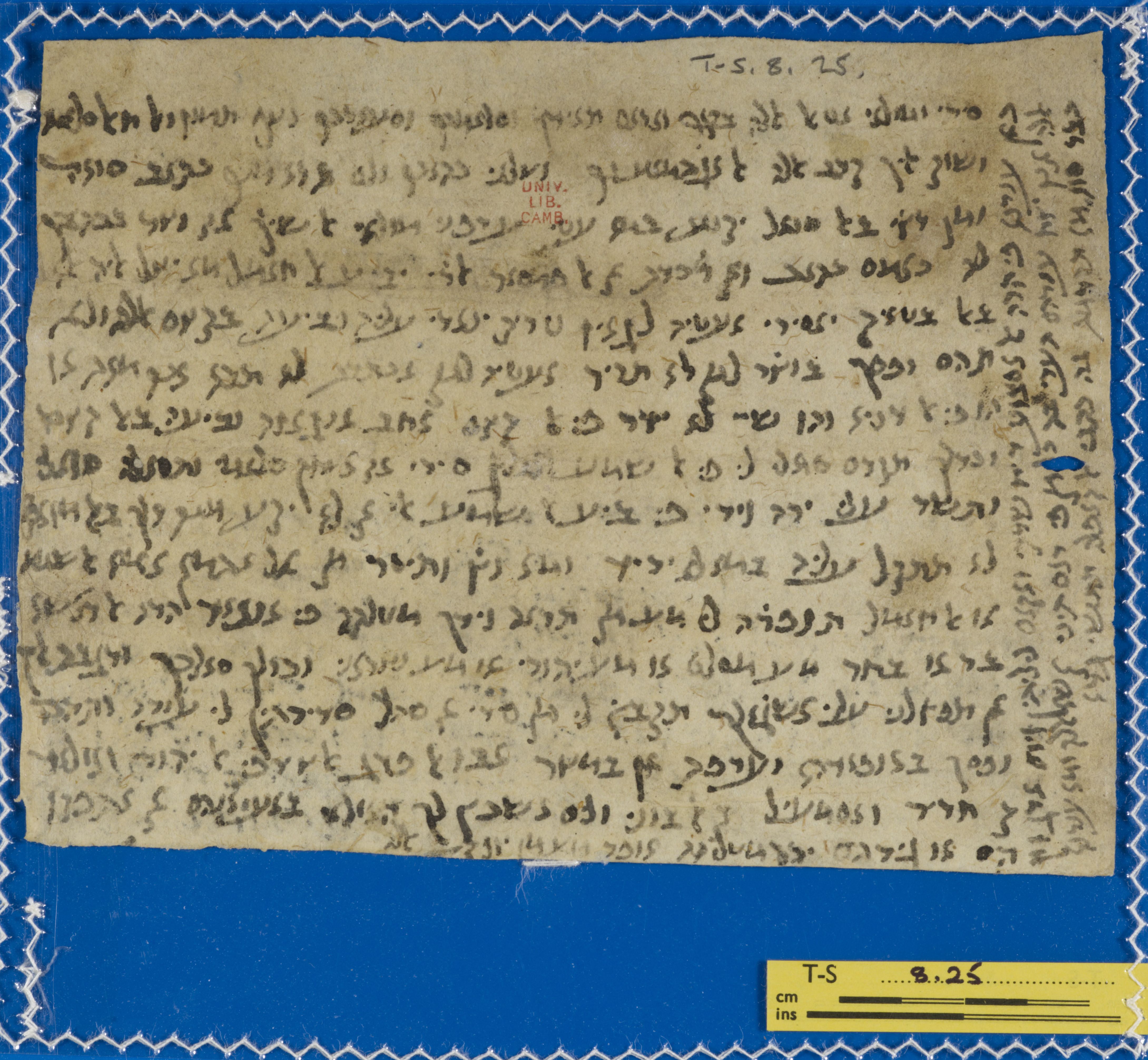 Image of item, e.g. a manuscript page