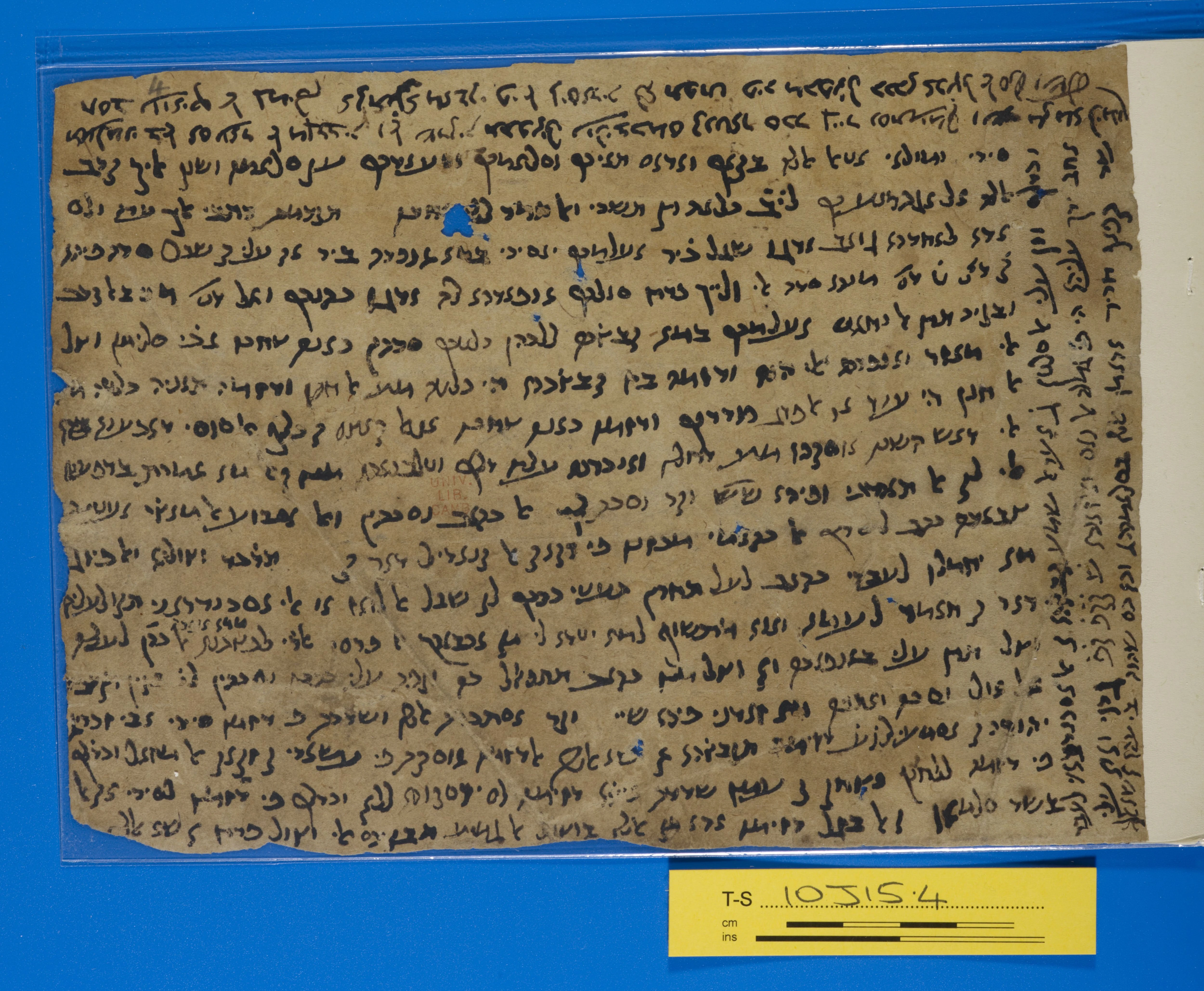 Image of item, e.g. a manuscript page
