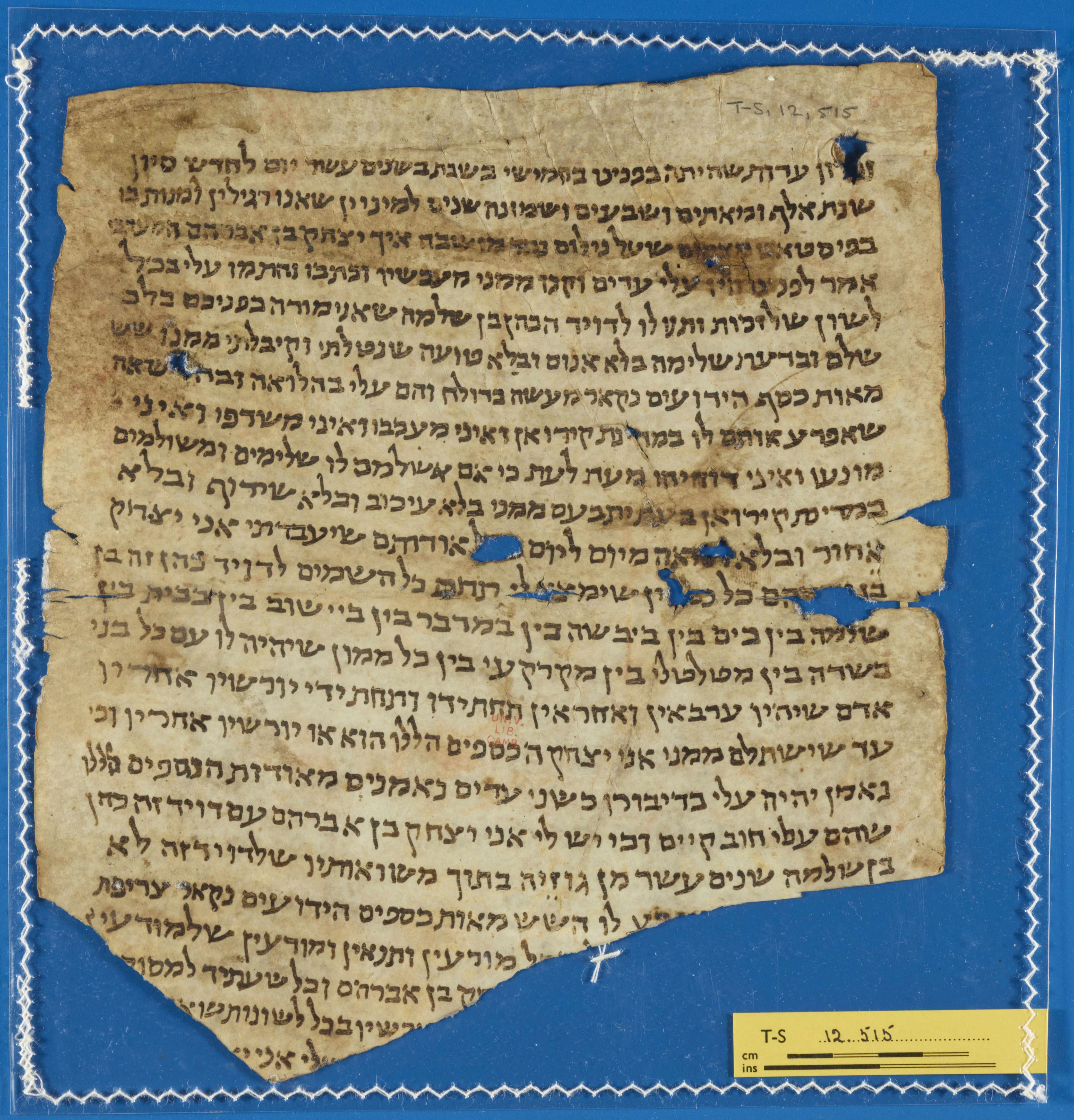 Image of item, e.g. a manuscript page