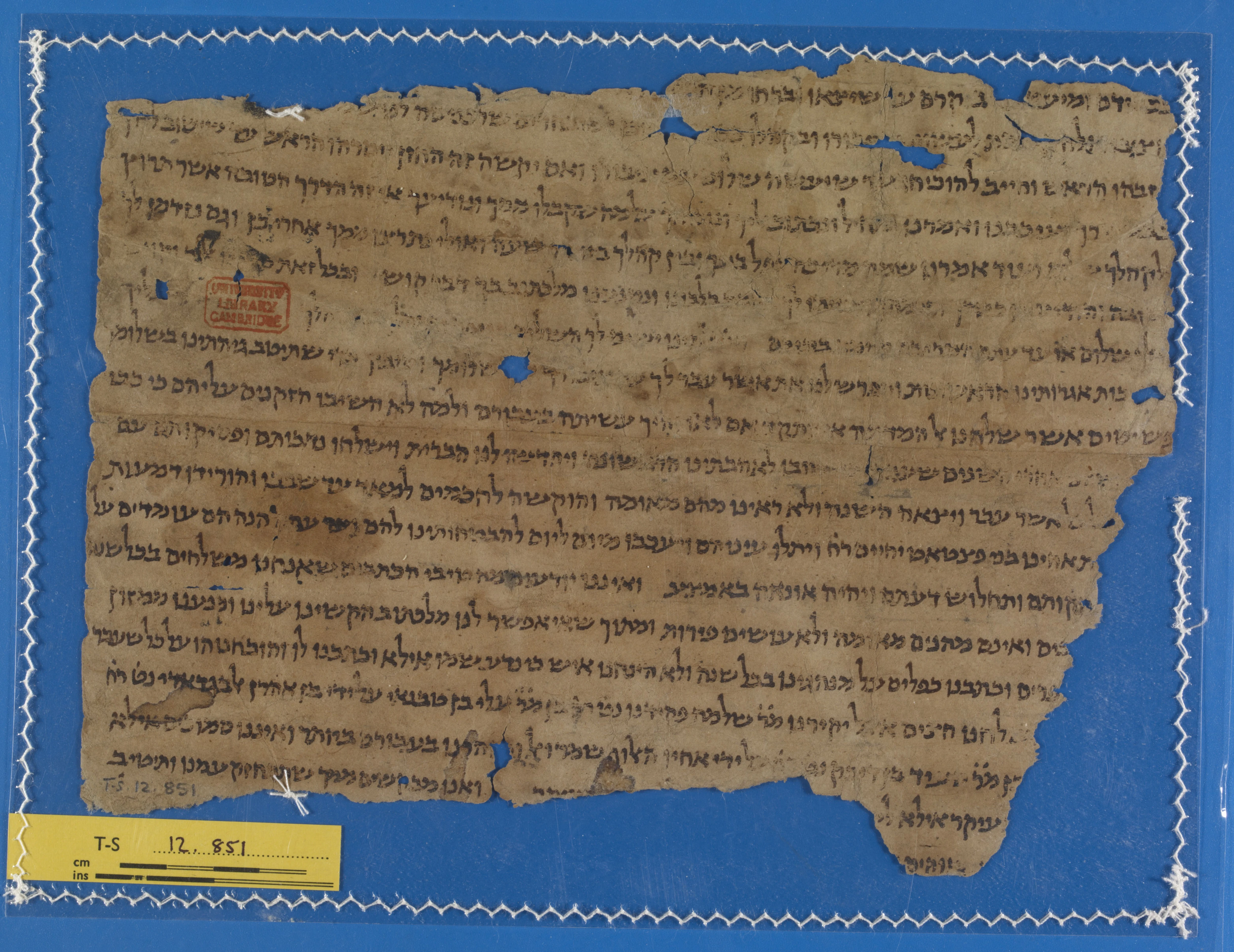 Image of item, e.g. a manuscript page
