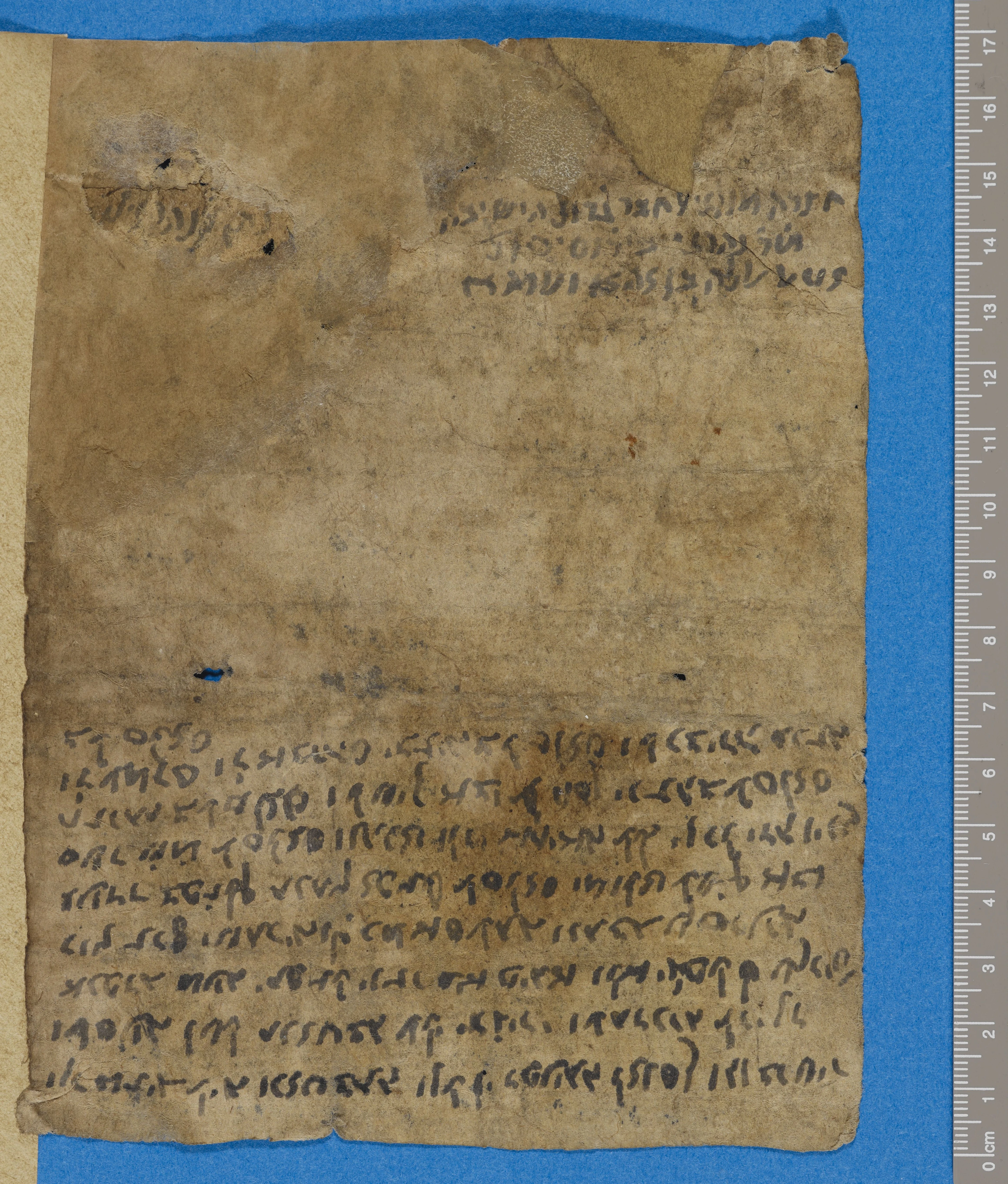 Image of item, e.g. a manuscript page