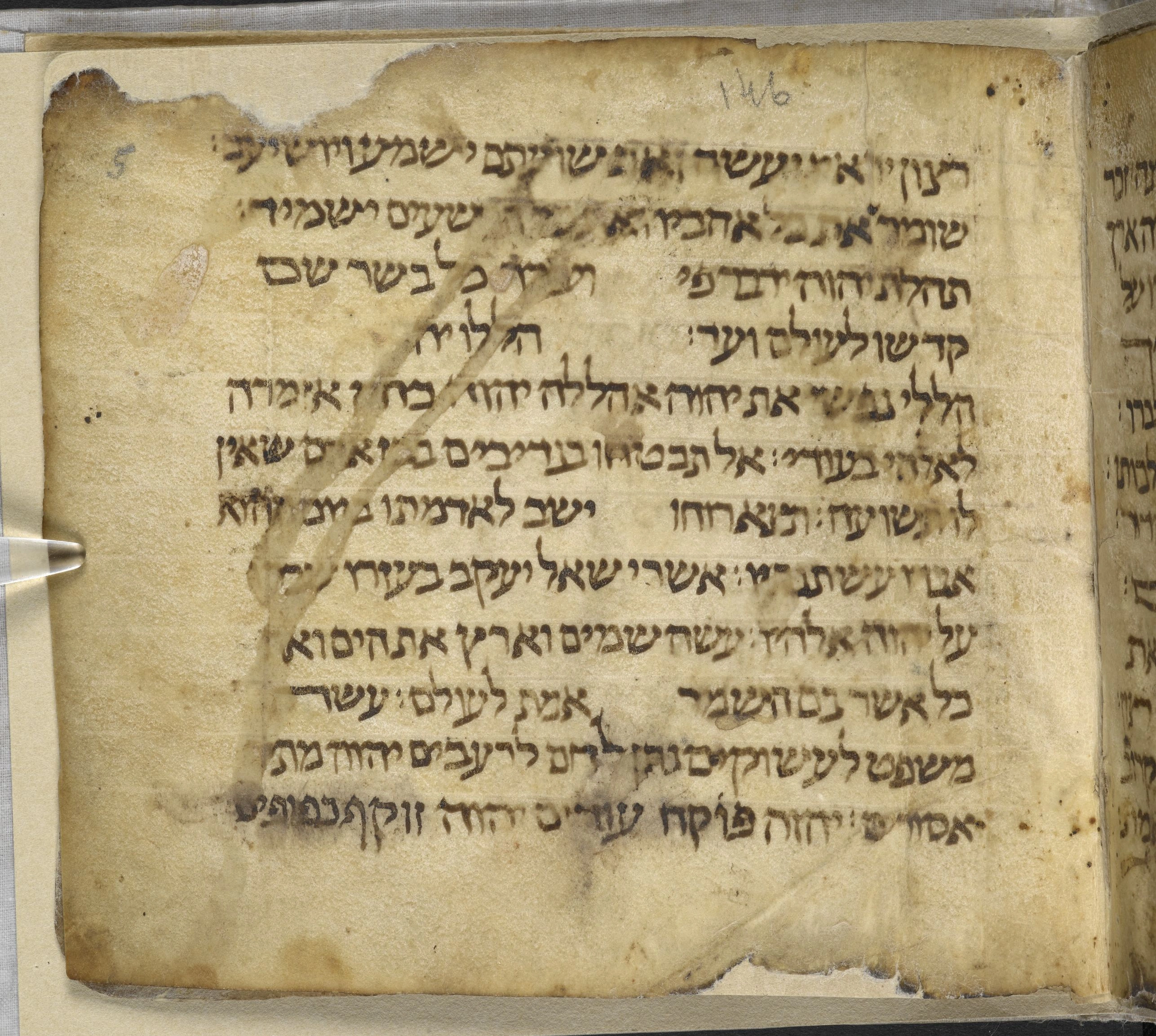 Image of item, e.g. a manuscript page