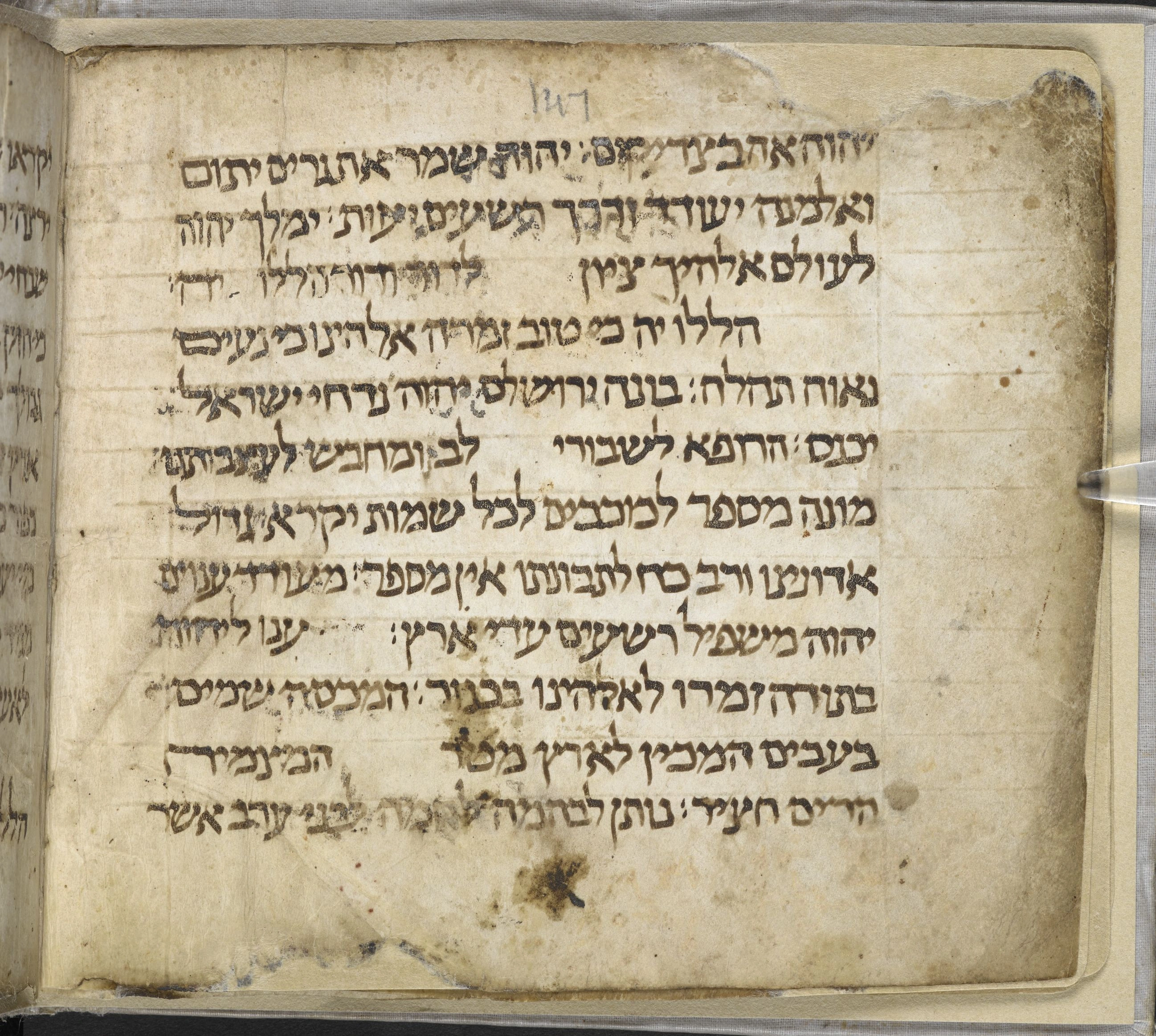 Image of item, e.g. a manuscript page