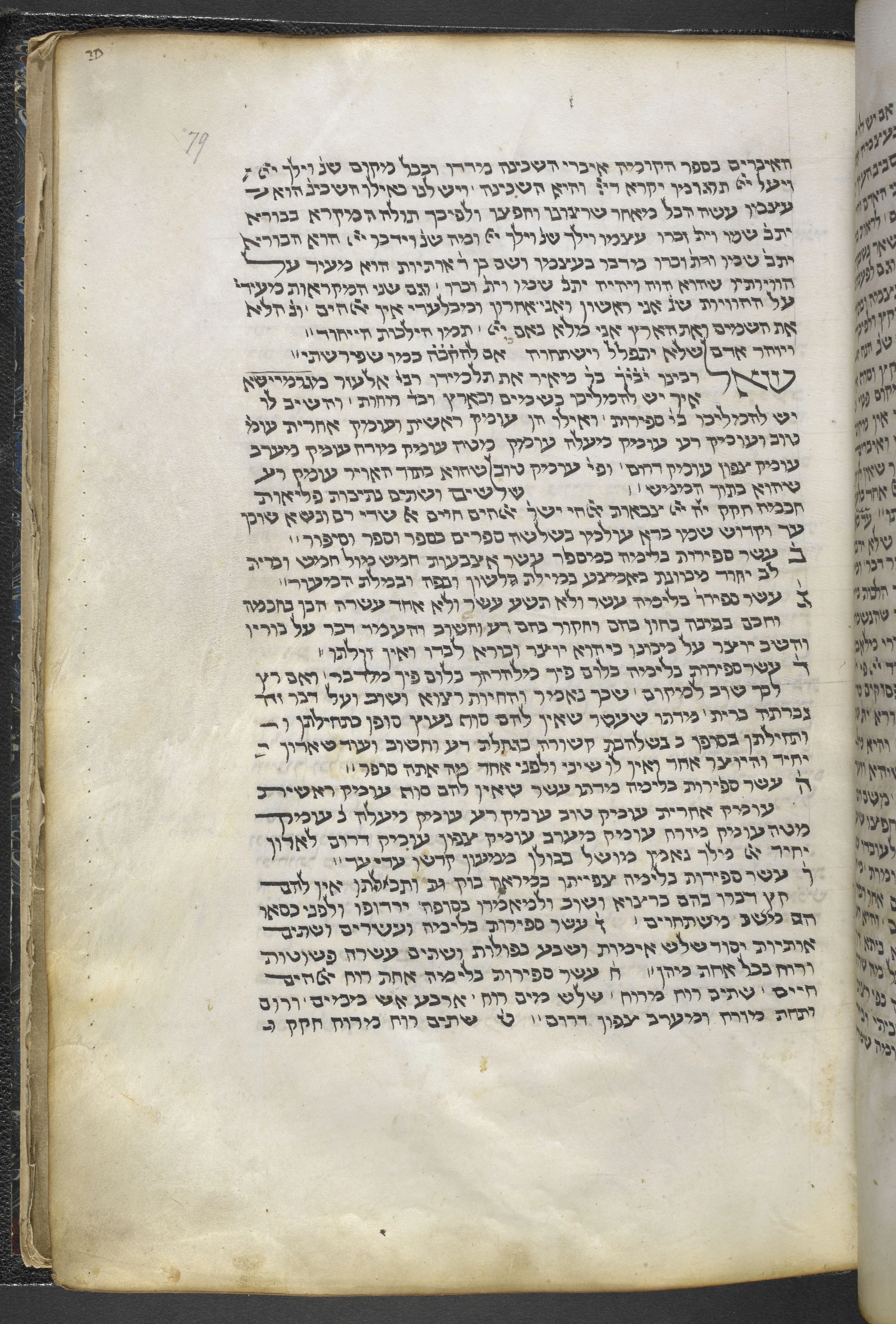 Image of item, e.g. a manuscript page