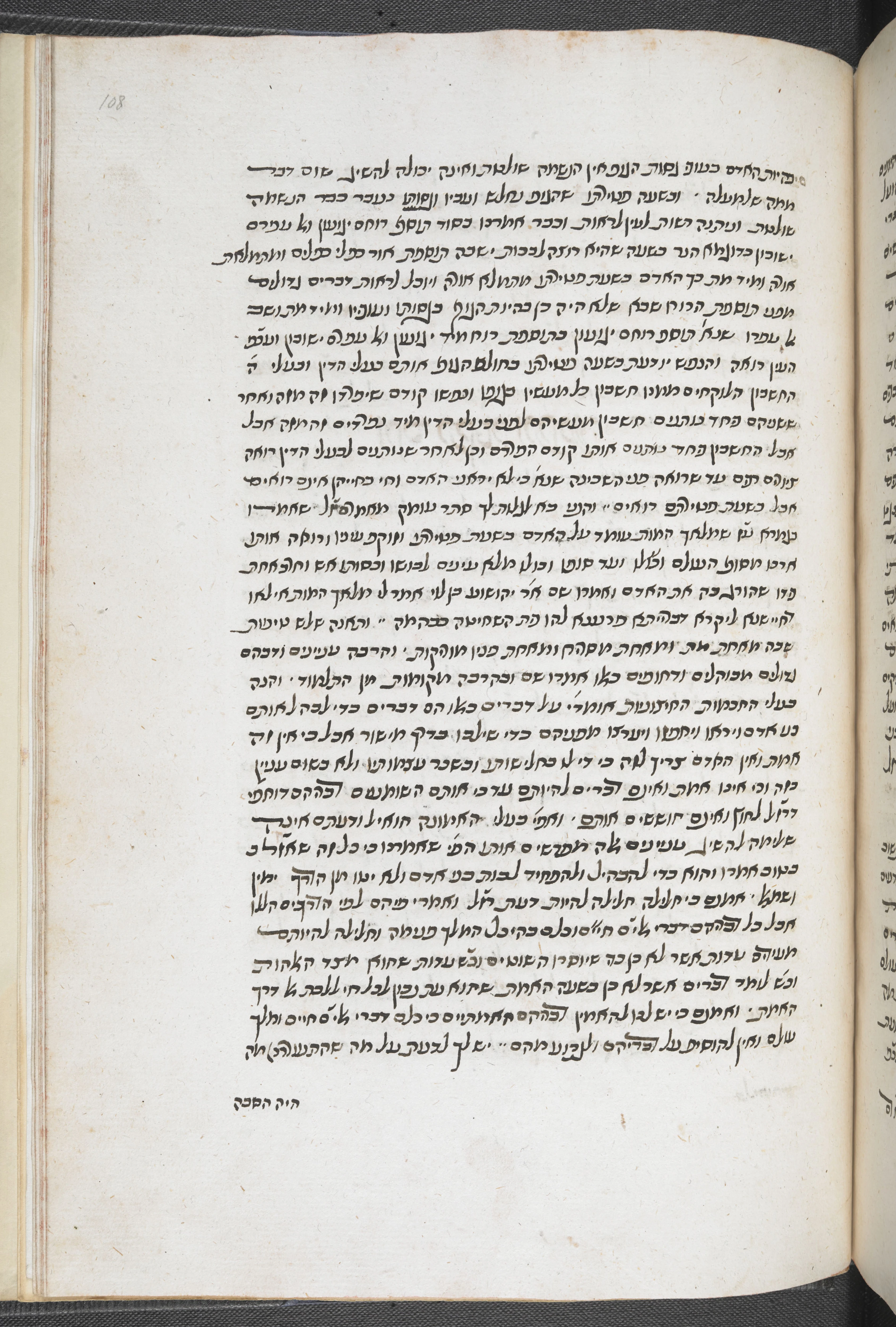 Image of item, e.g. a manuscript page