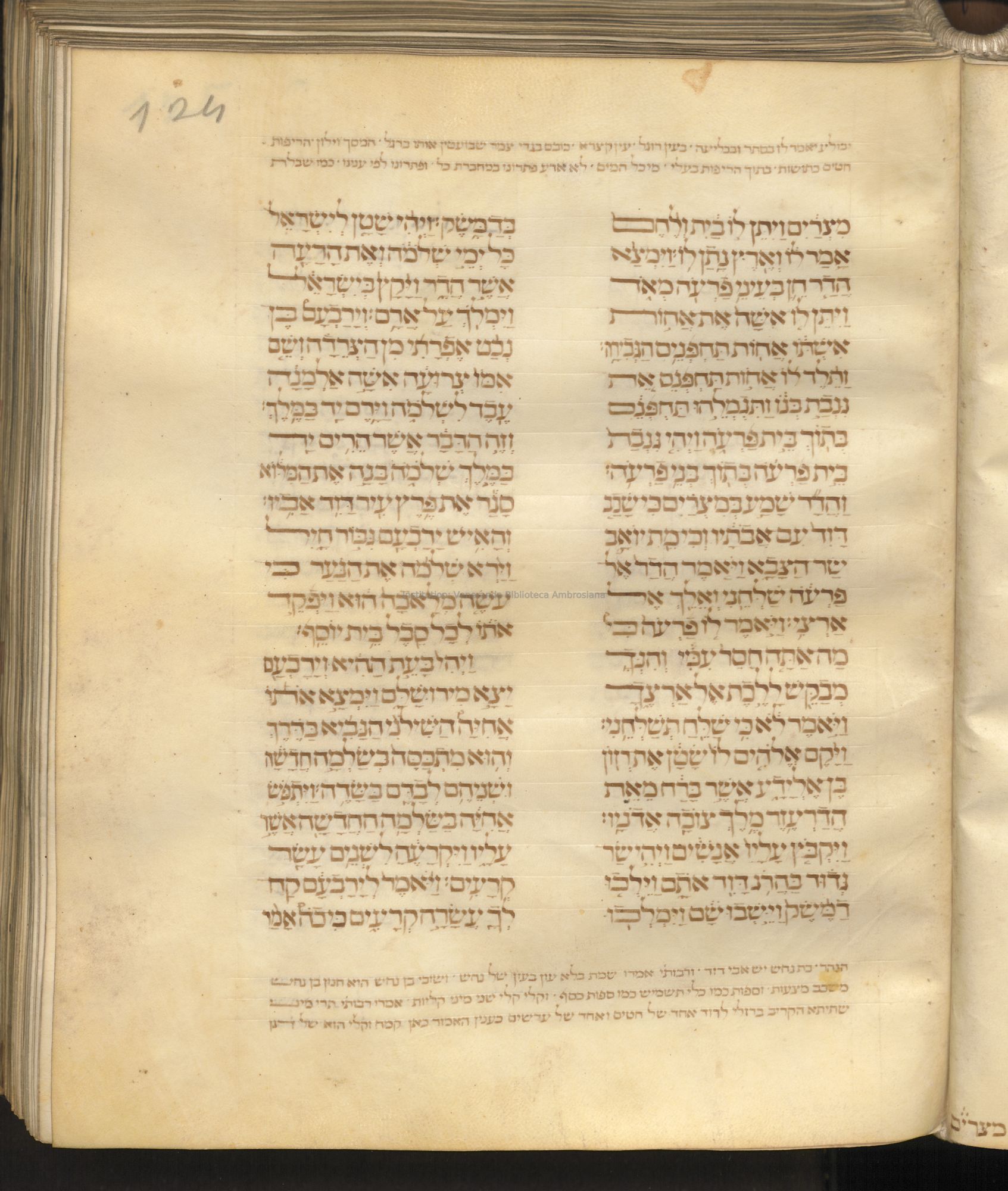 Image of item, e.g. a manuscript page