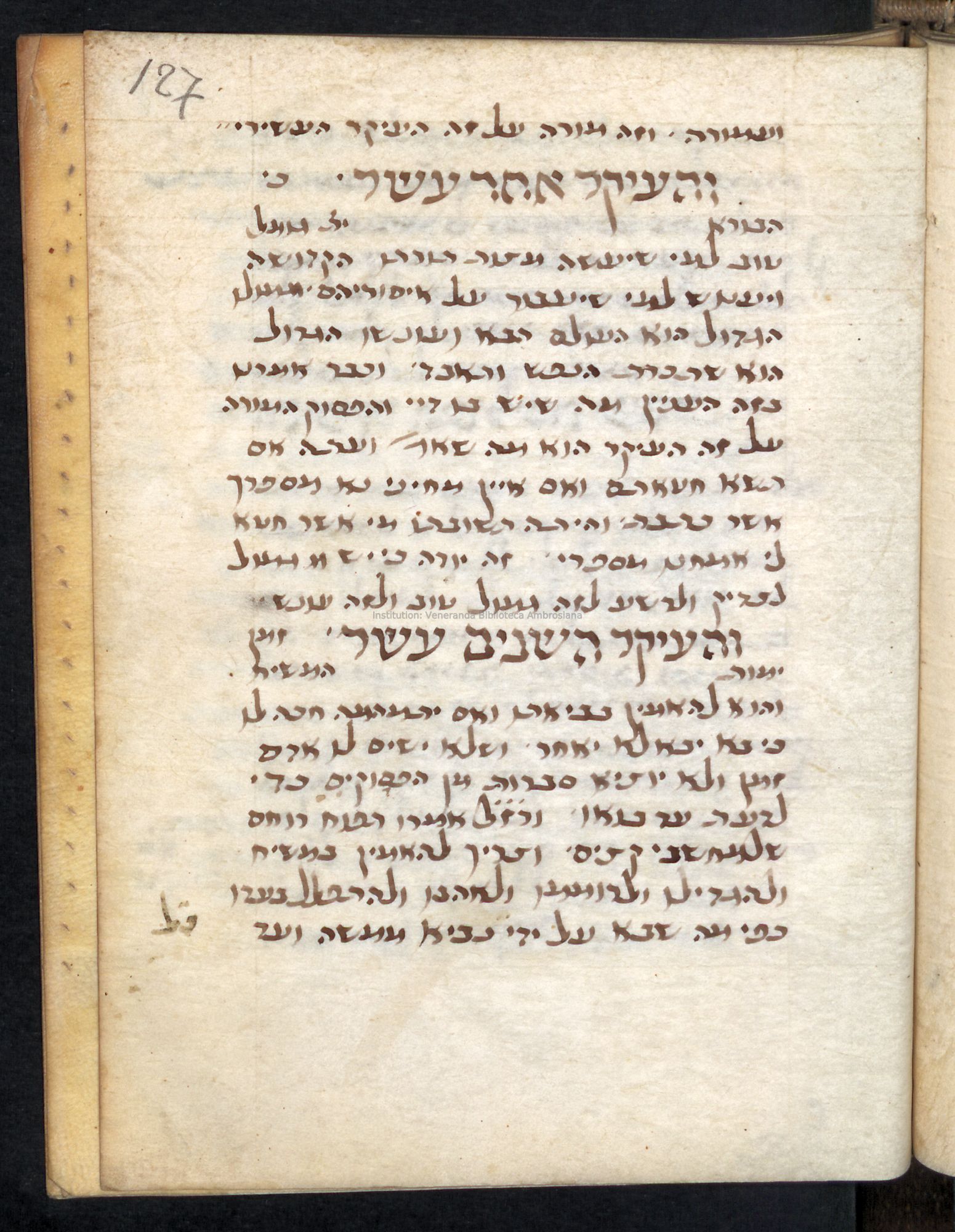 Image of item, e.g. a manuscript page