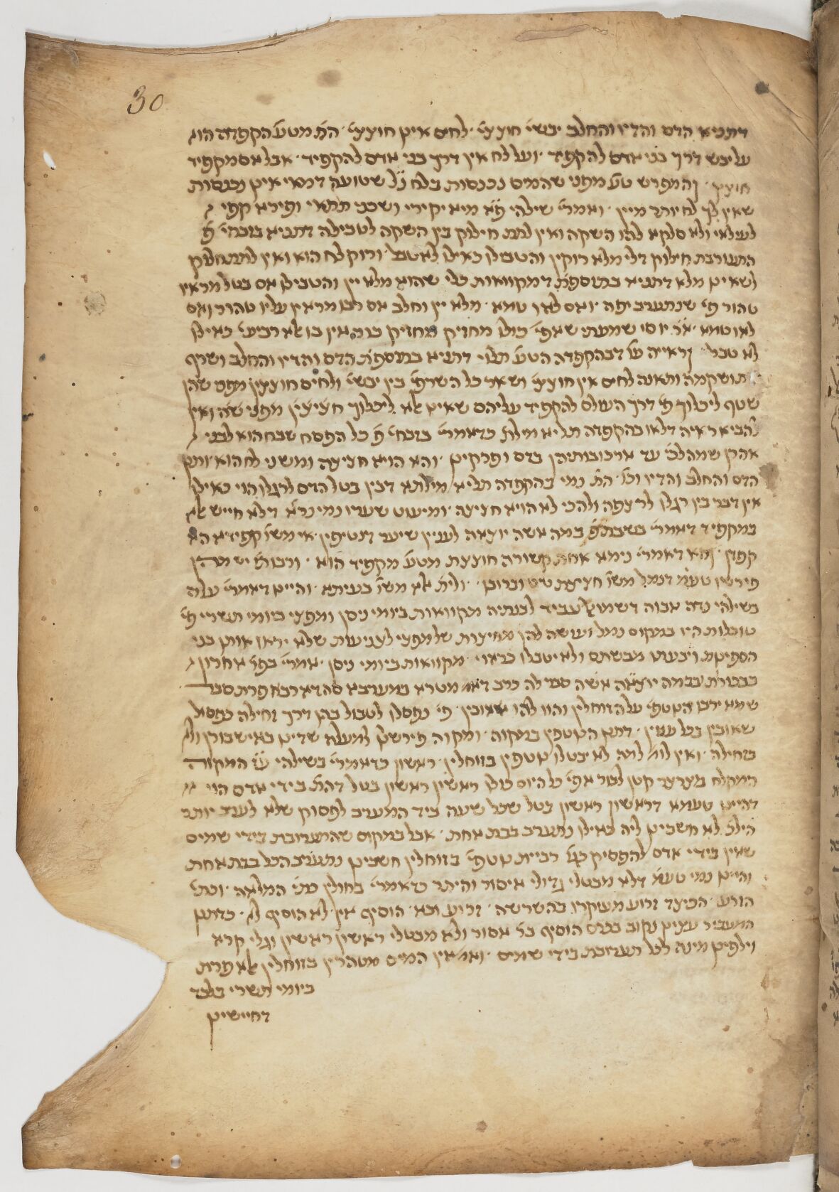 Image of item, e.g. a manuscript page
