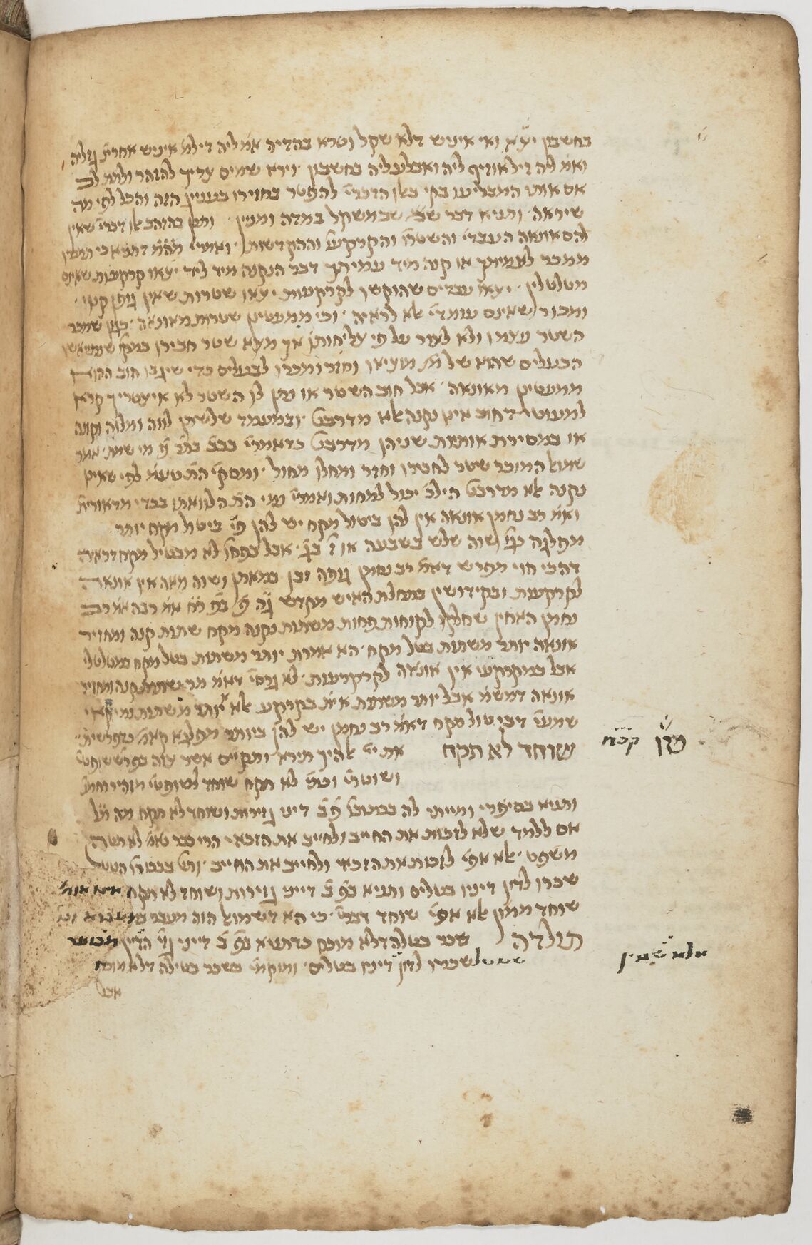 Image of item, e.g. a manuscript page