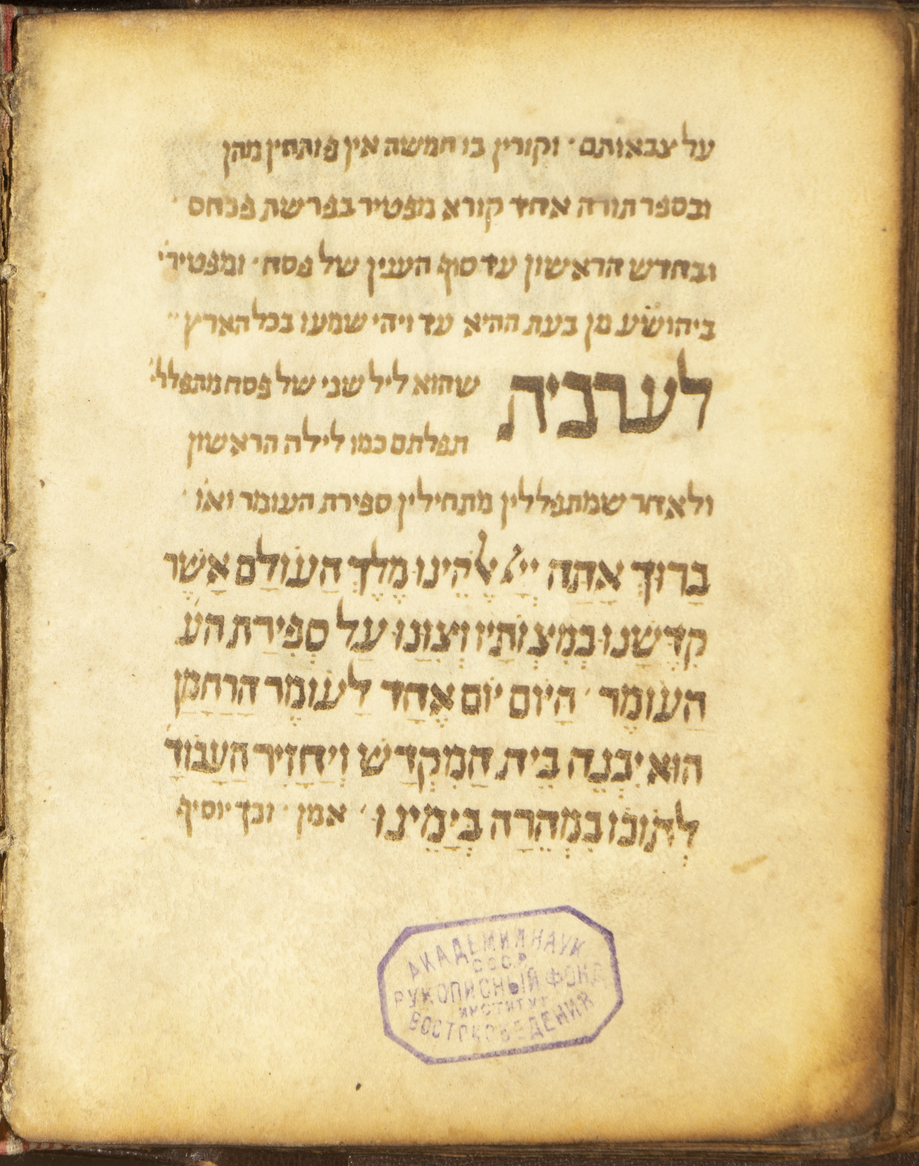 Image of item, e.g. a manuscript page