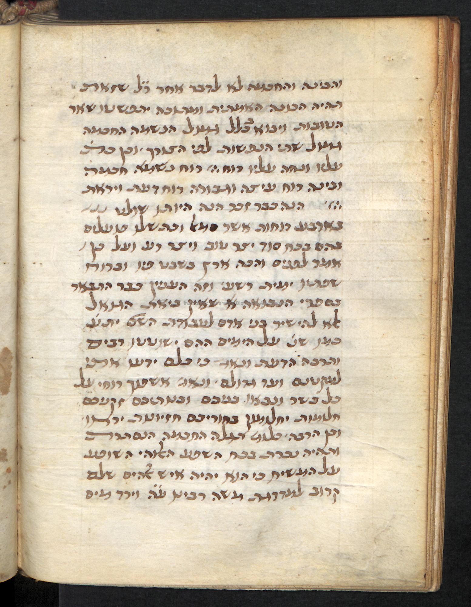 Image of item, e.g. a manuscript page