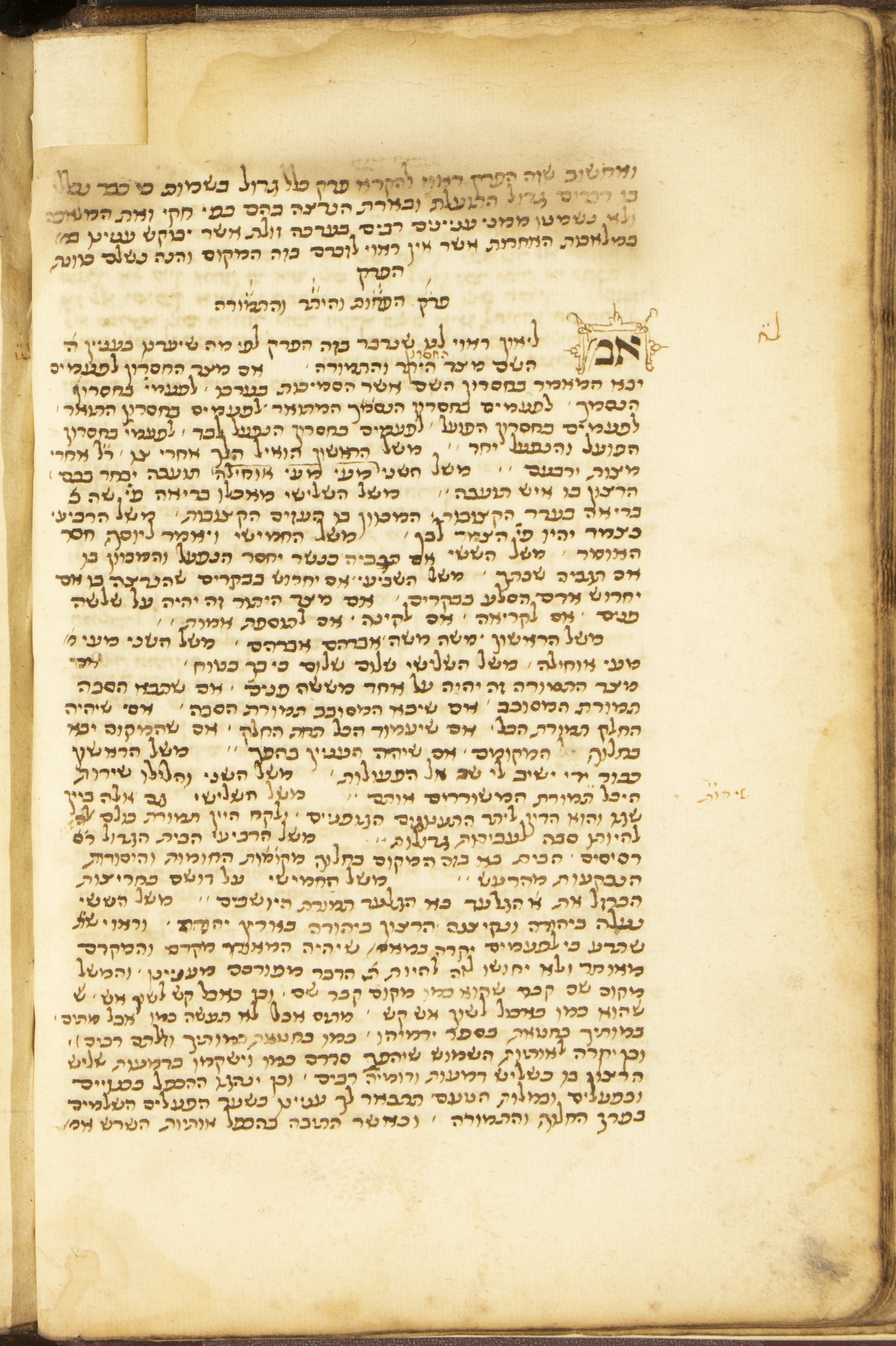 Image of item, e.g. a manuscript page