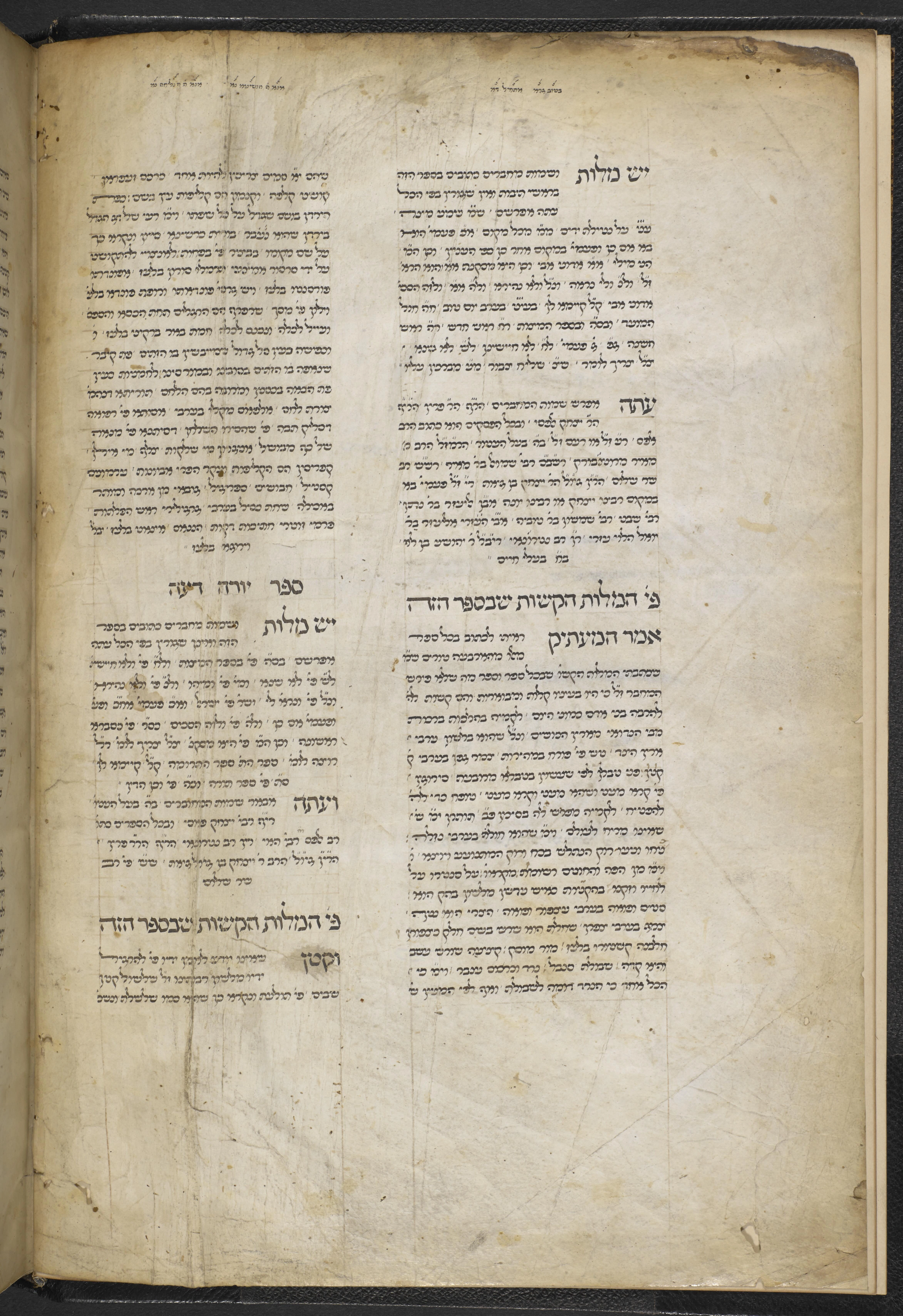 Image of item, e.g. a manuscript page