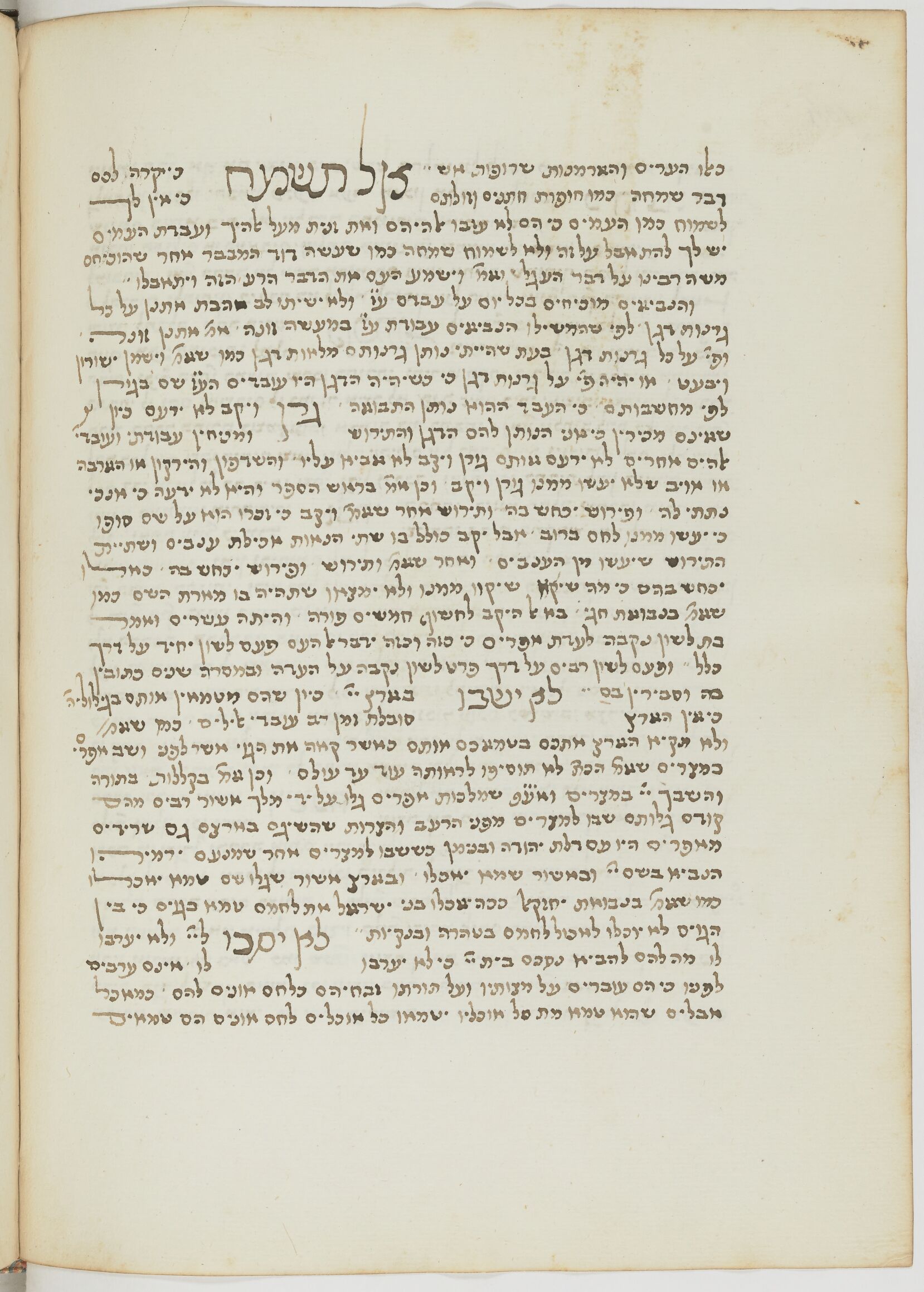 Image of item, e.g. a manuscript page
