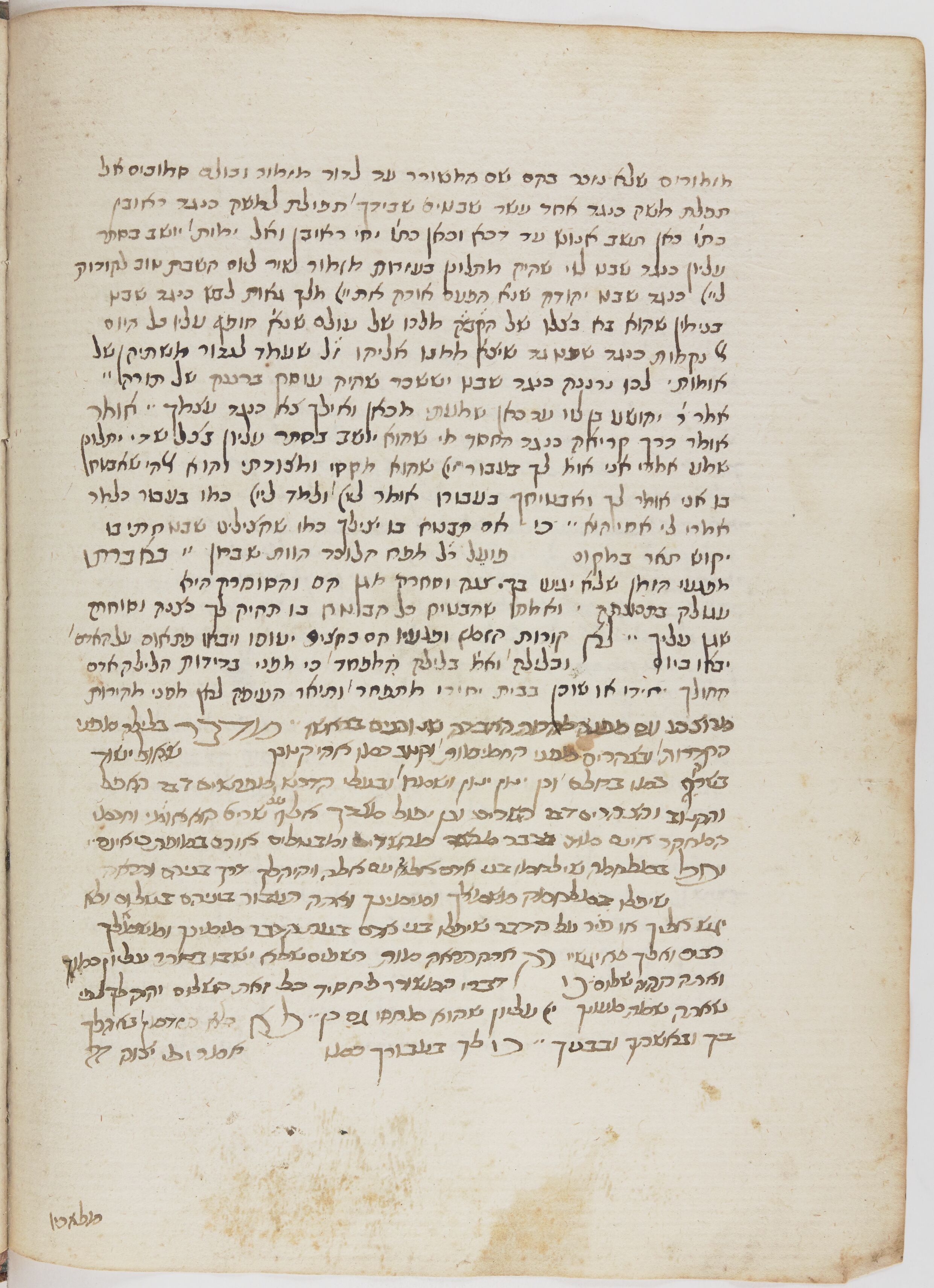 Image of item, e.g. a manuscript page