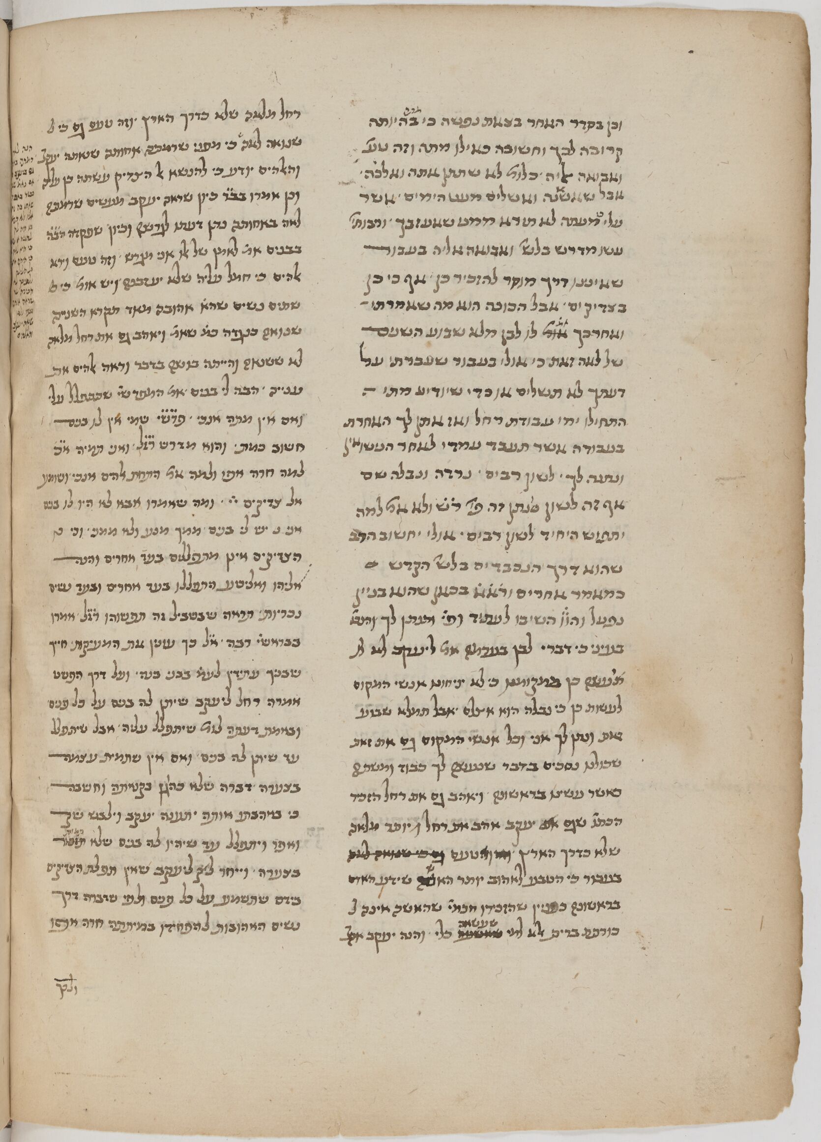 Image of item, e.g. a manuscript page