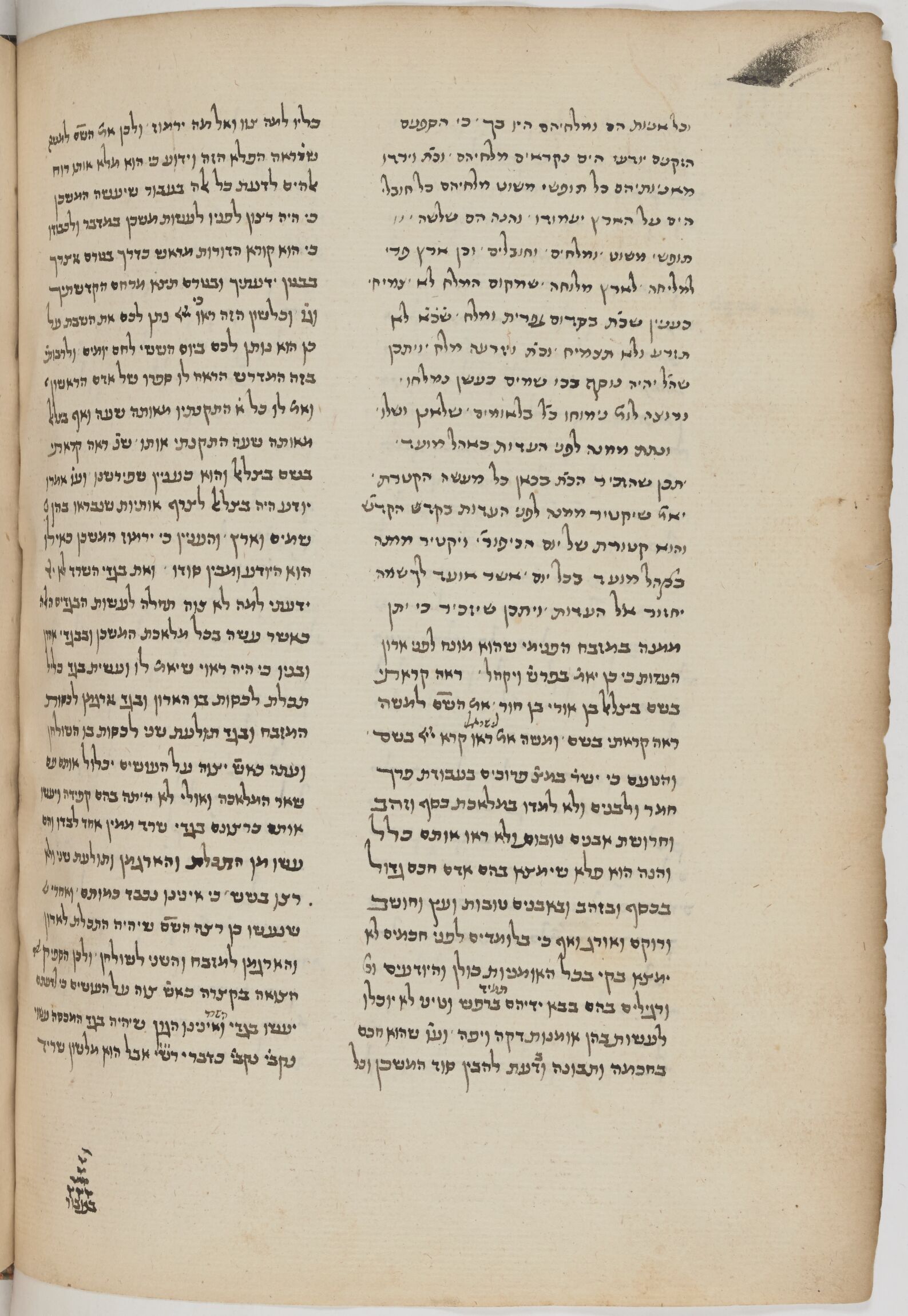 Image of item, e.g. a manuscript page