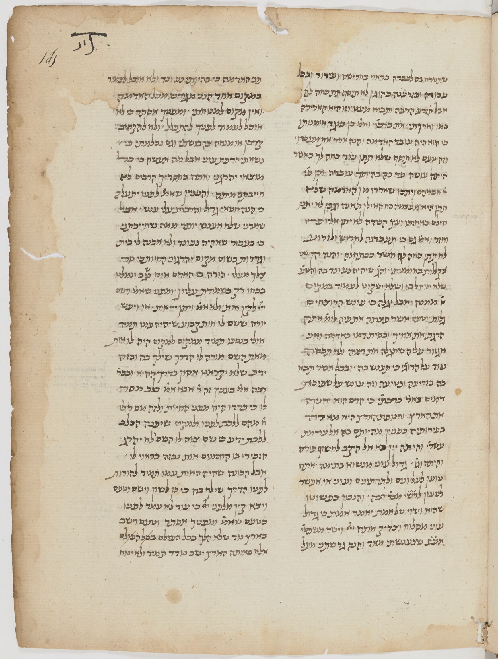 Image of item, e.g. a manuscript page