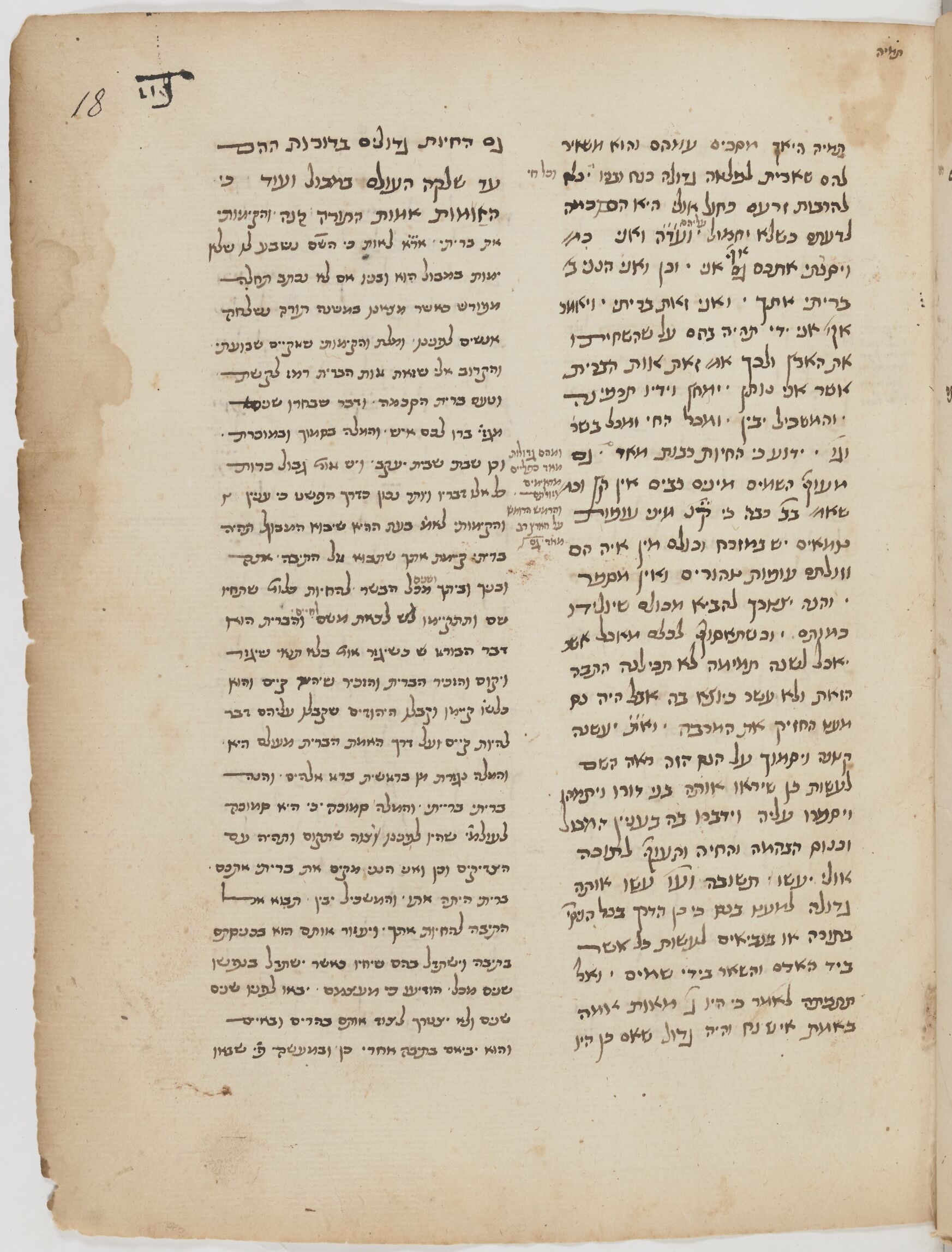 Image of item, e.g. a manuscript page
