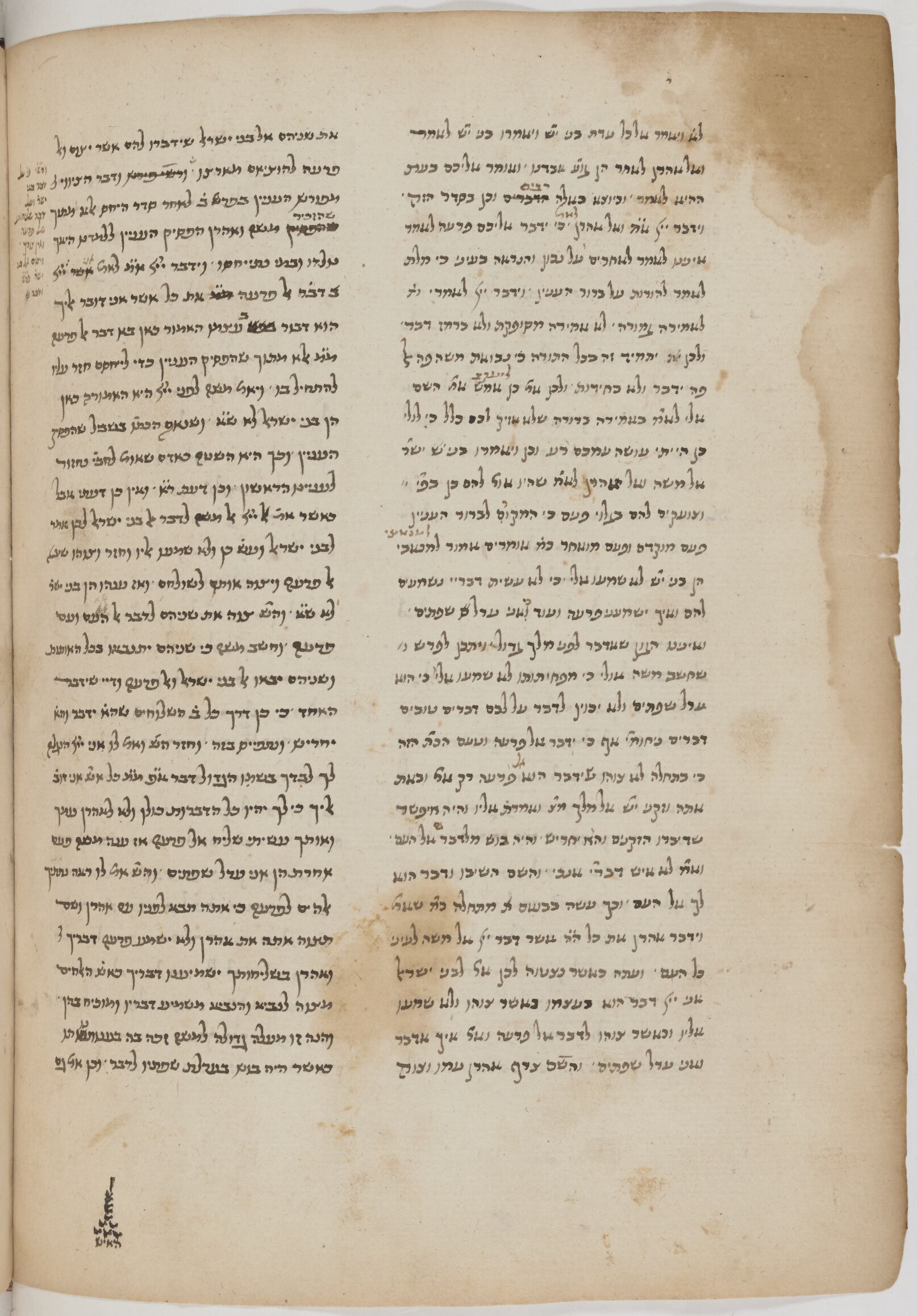 Image of item, e.g. a manuscript page