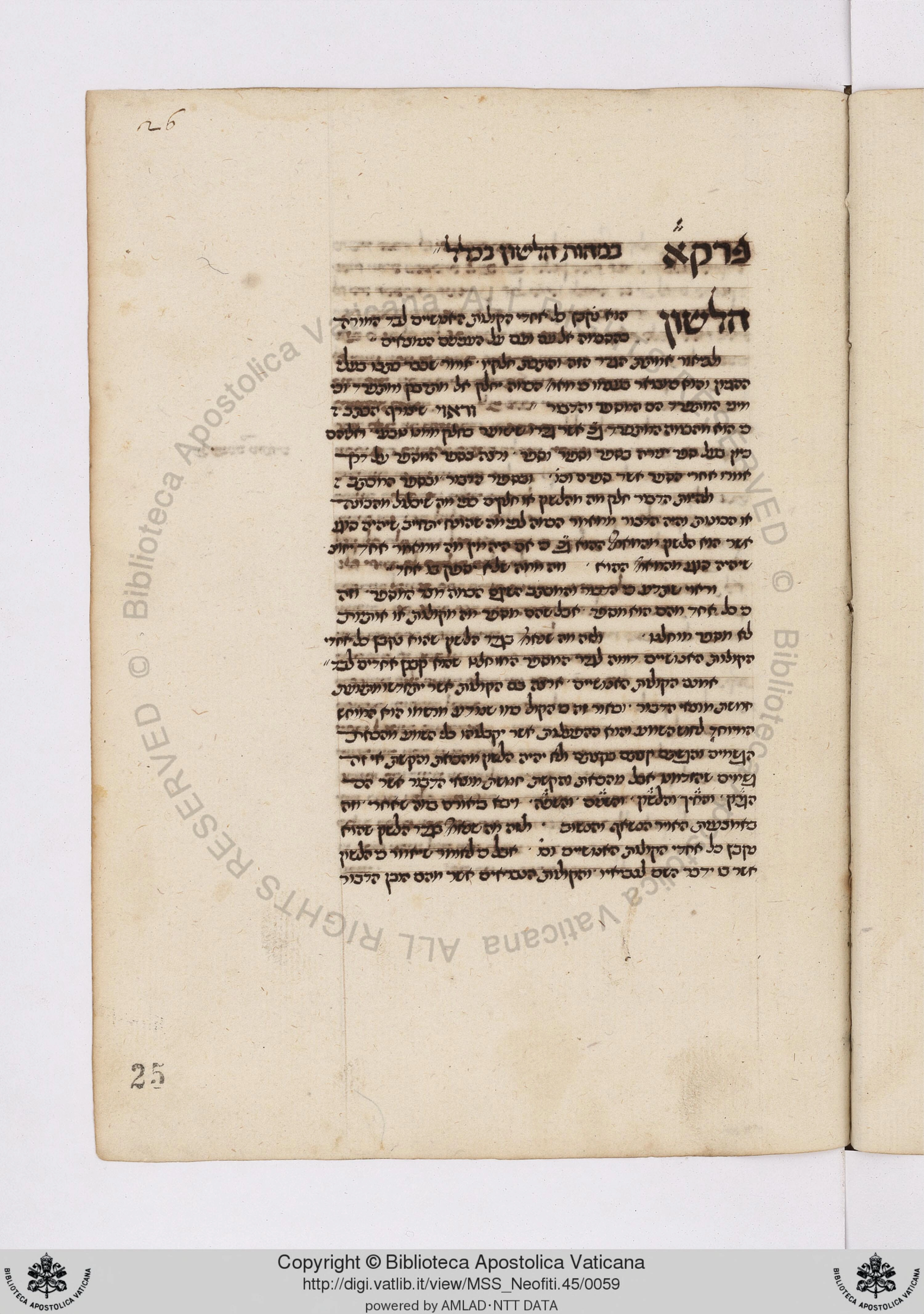 Image of item, e.g. a manuscript page