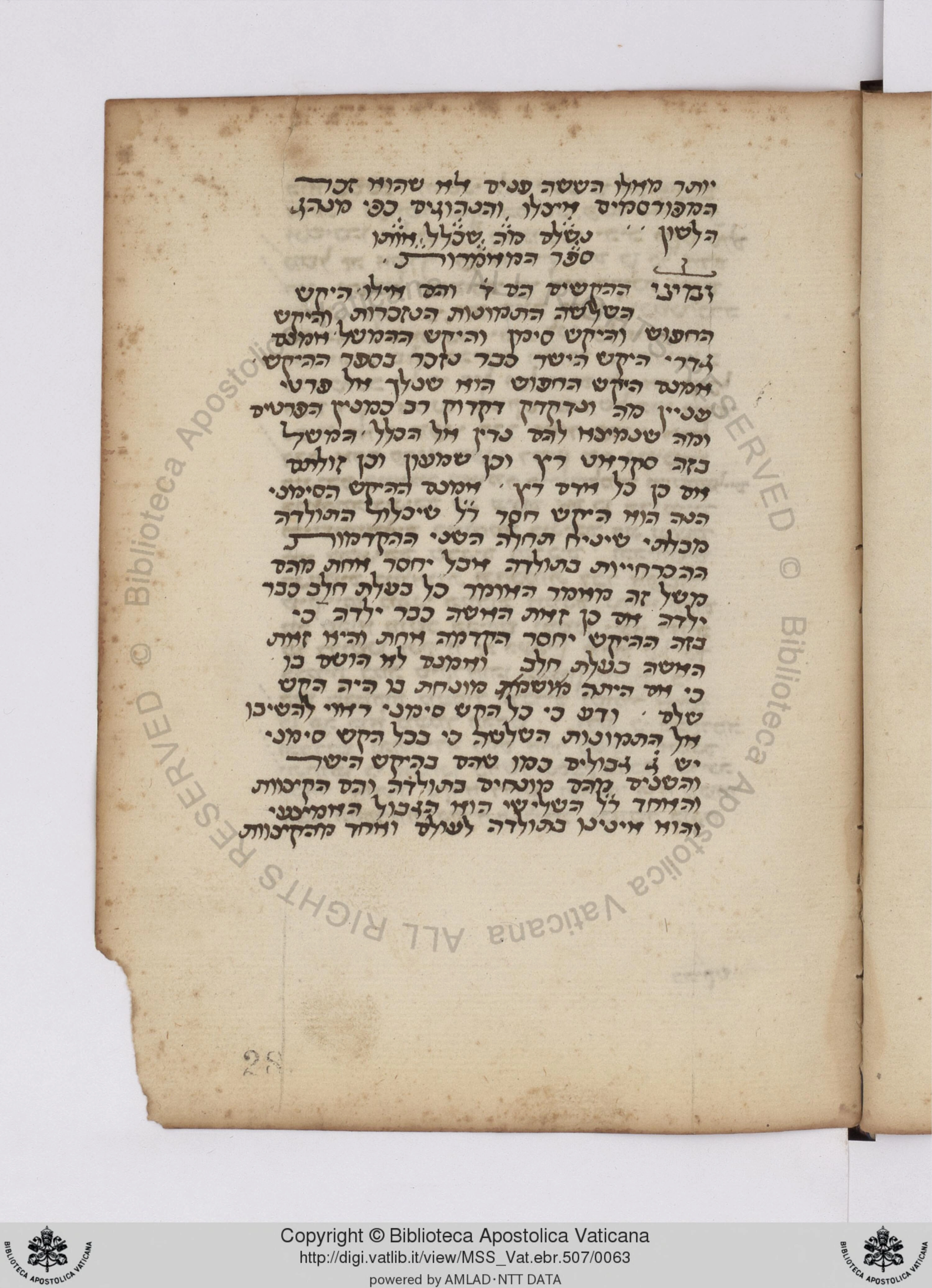 Image of item, e.g. a manuscript page