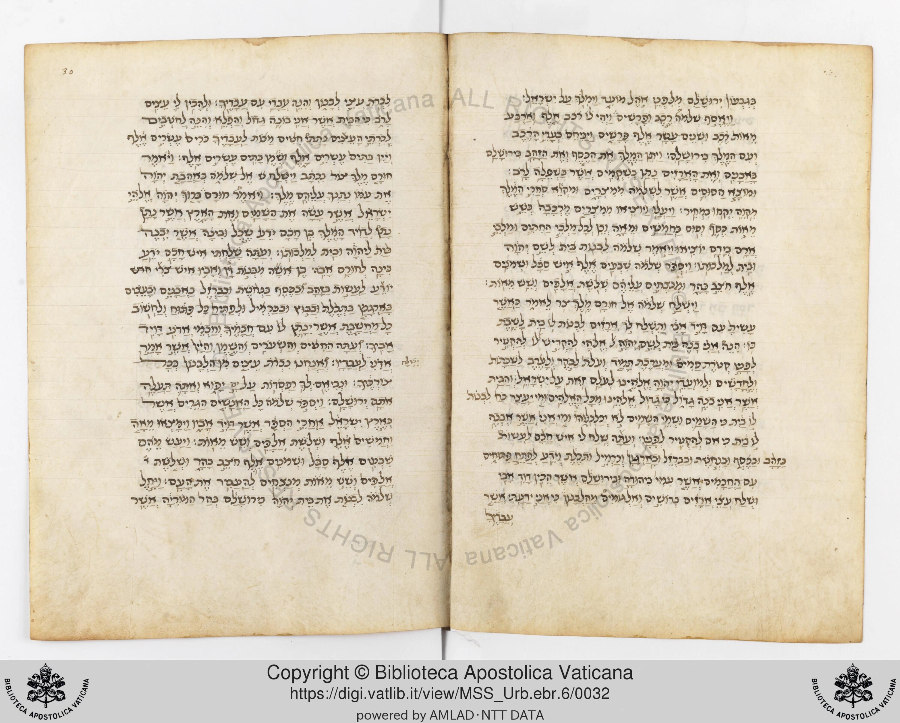 Image of item, e.g. a manuscript page