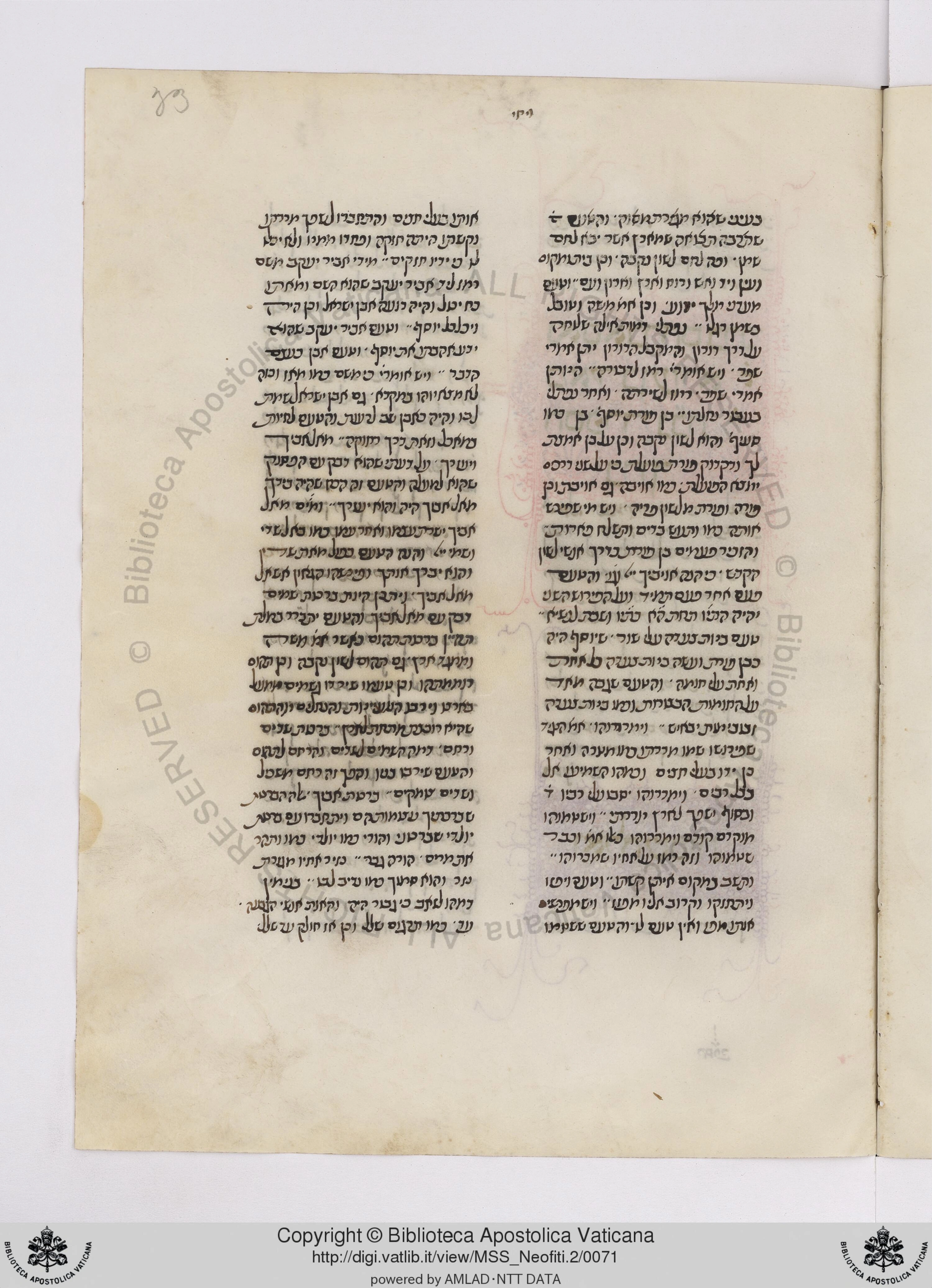 Image of item, e.g. a manuscript page