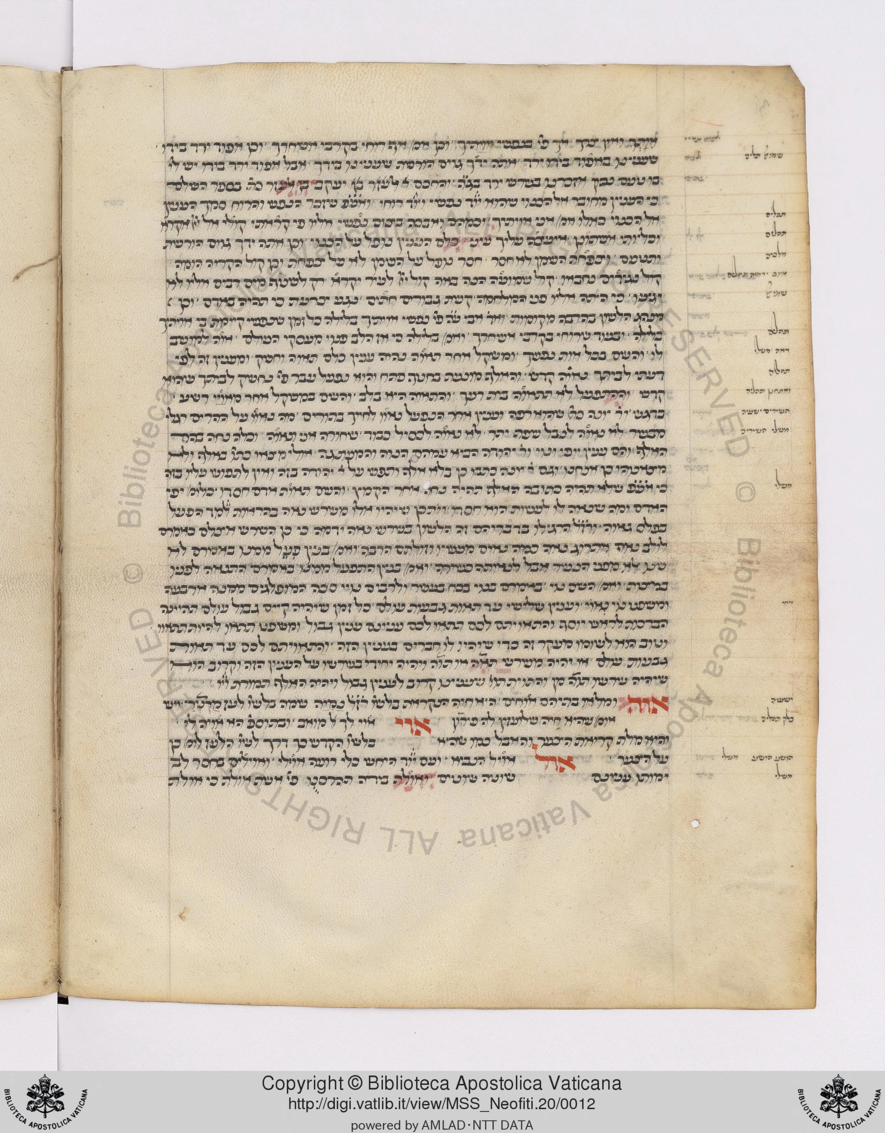 Image of item, e.g. a manuscript page