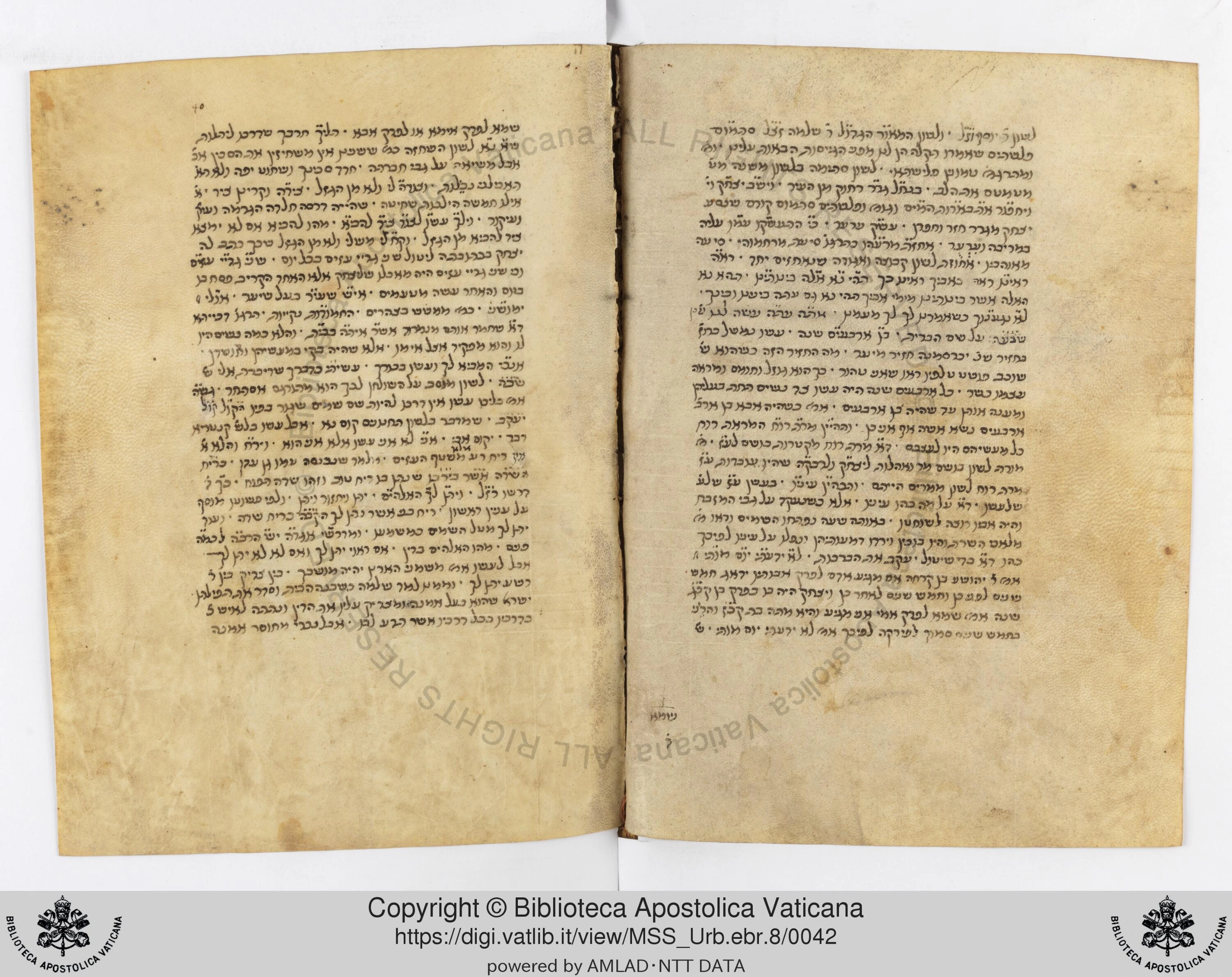 Image of item, e.g. a manuscript page