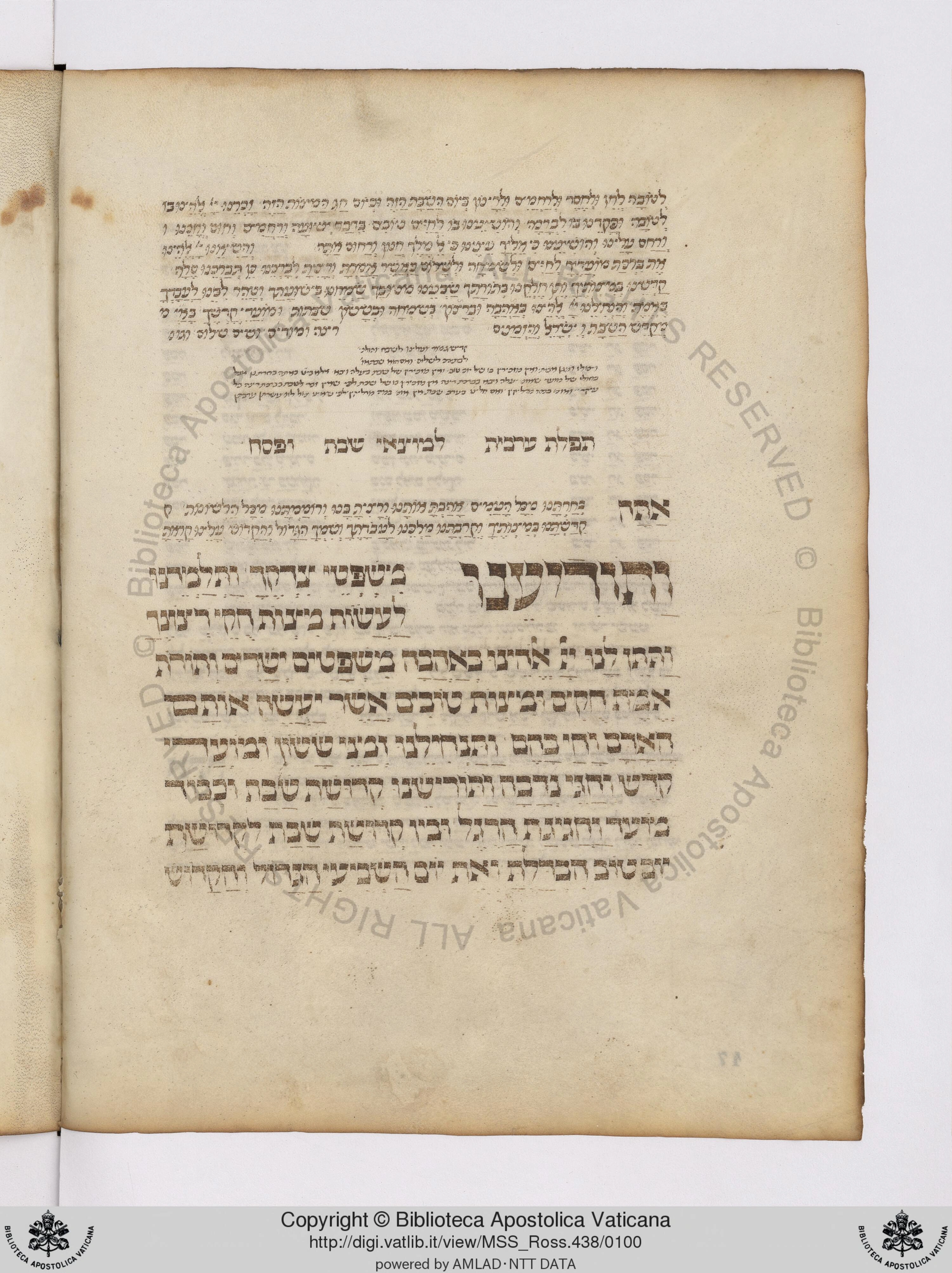 Image of item, e.g. a manuscript page