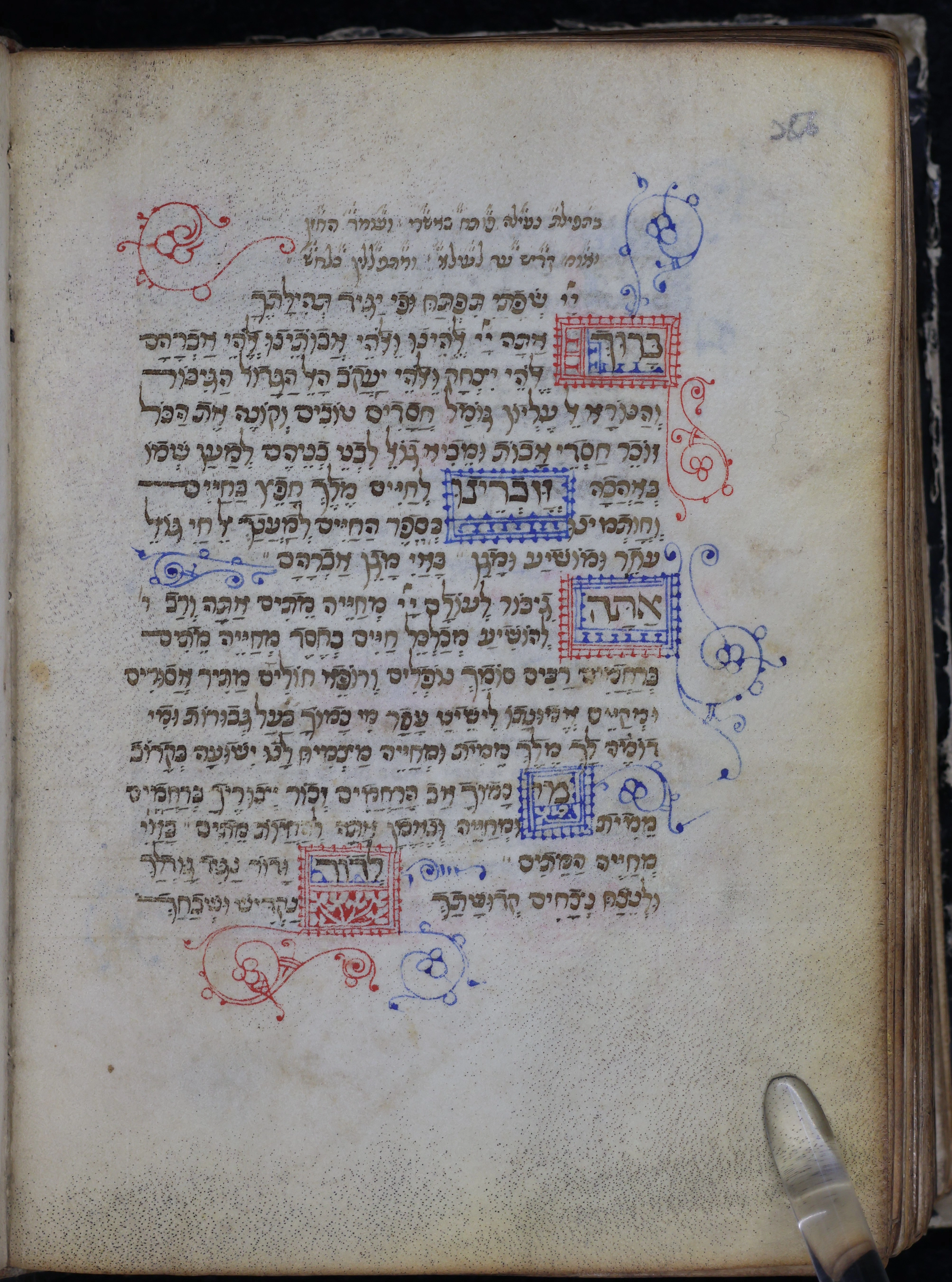 Image of item, e.g. a manuscript page