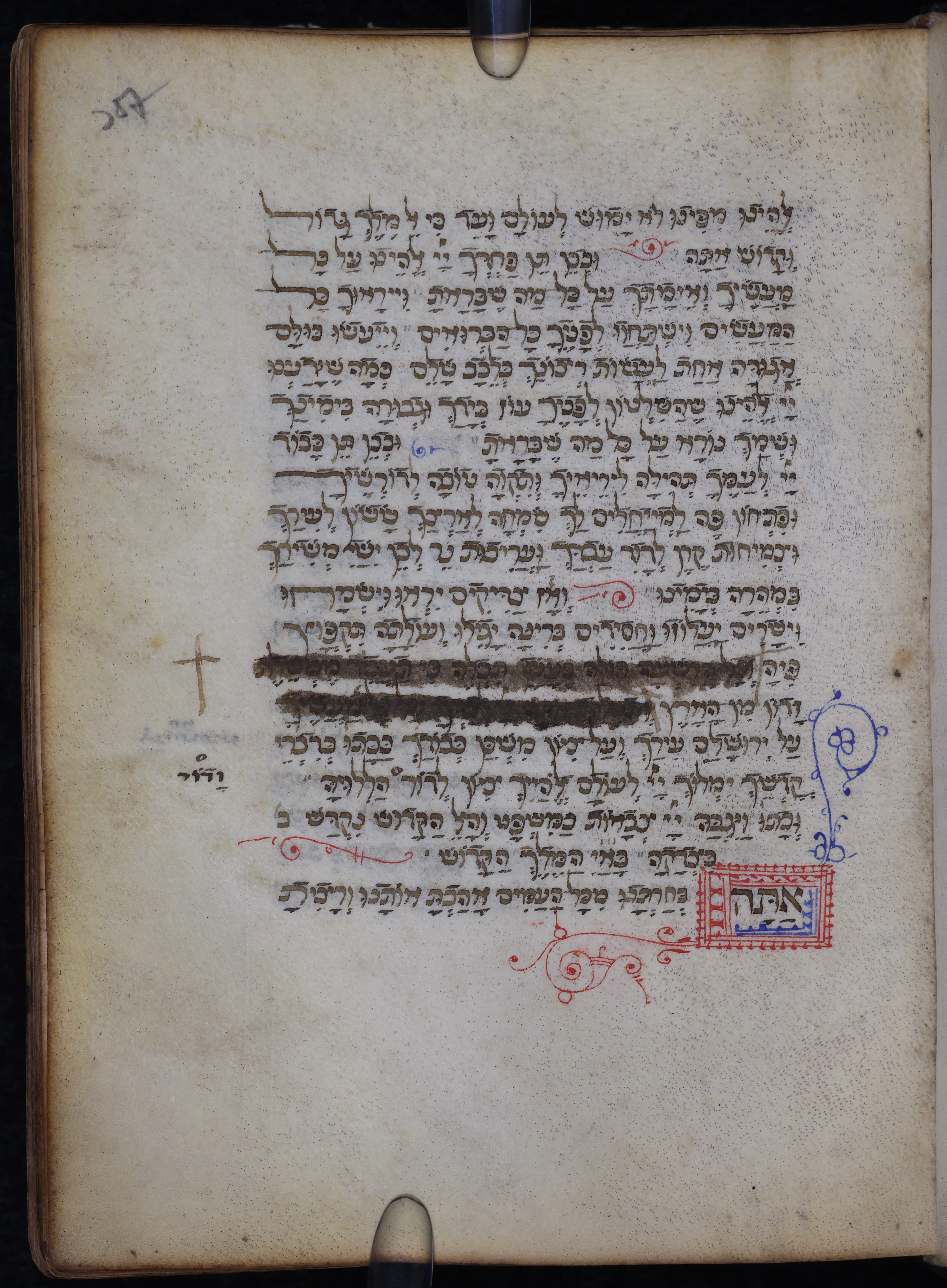 Image of item, e.g. a manuscript page