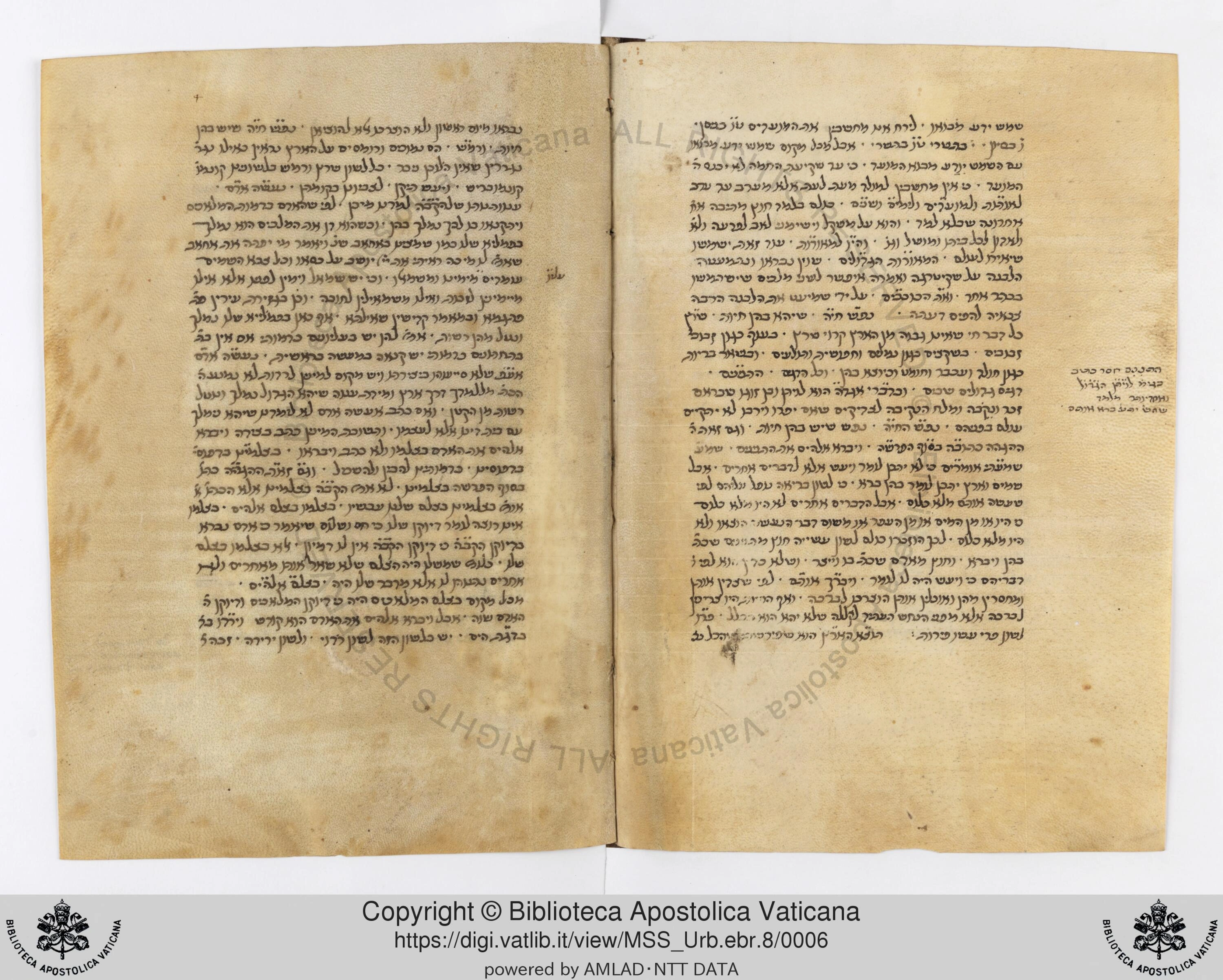 Image of item, e.g. a manuscript page