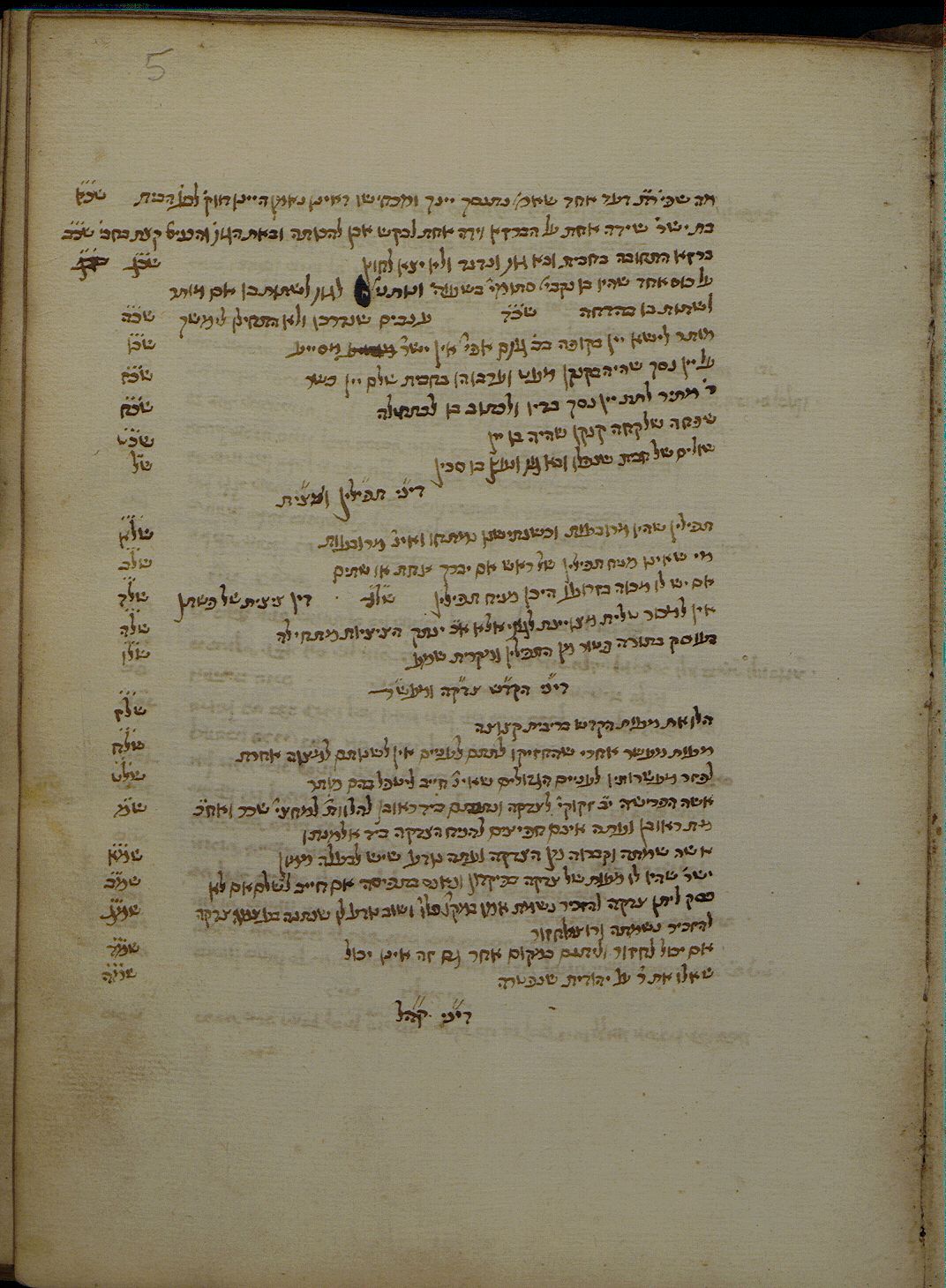 Image of item, e.g. a manuscript page