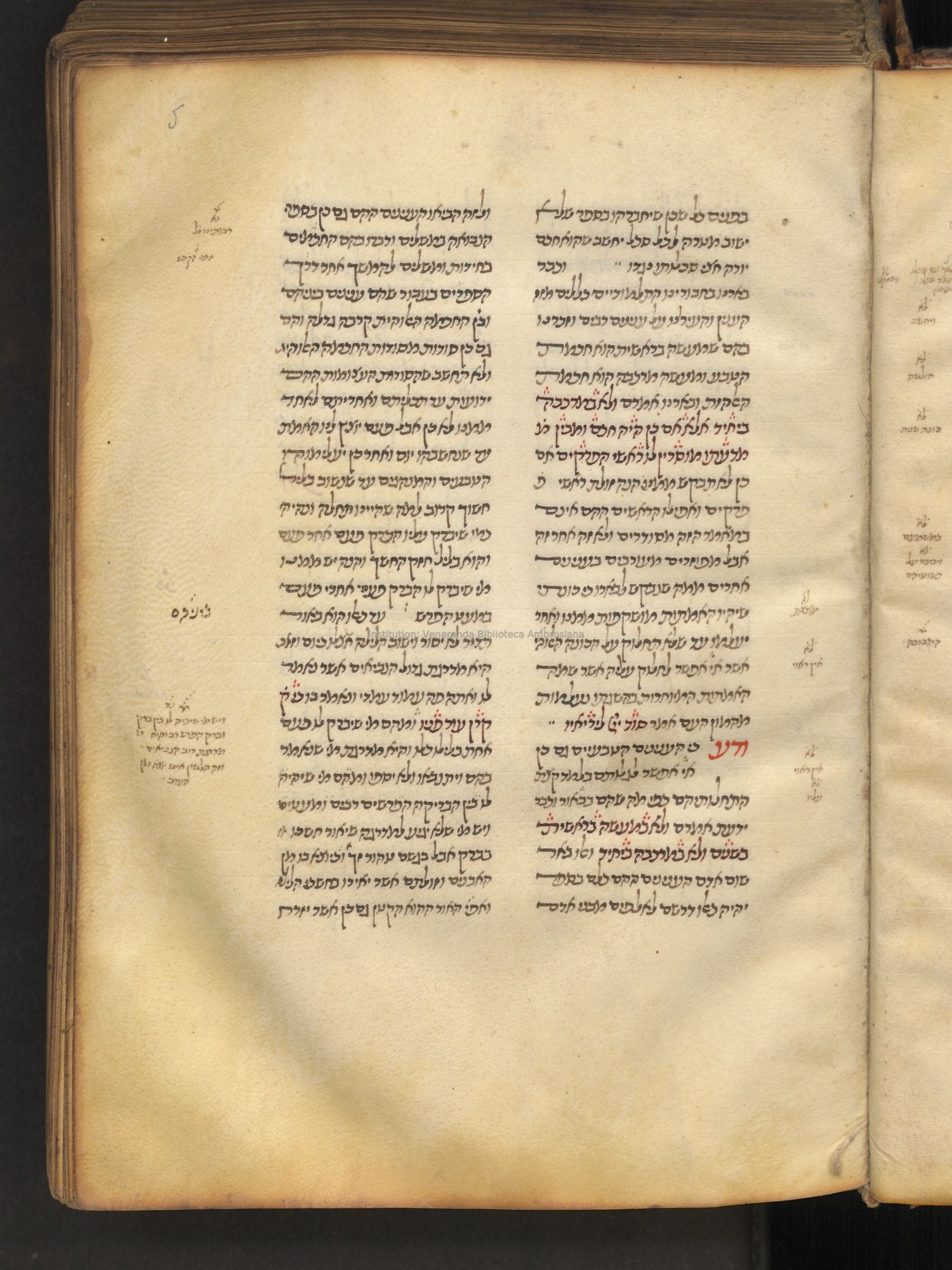 Image of item, e.g. a manuscript page