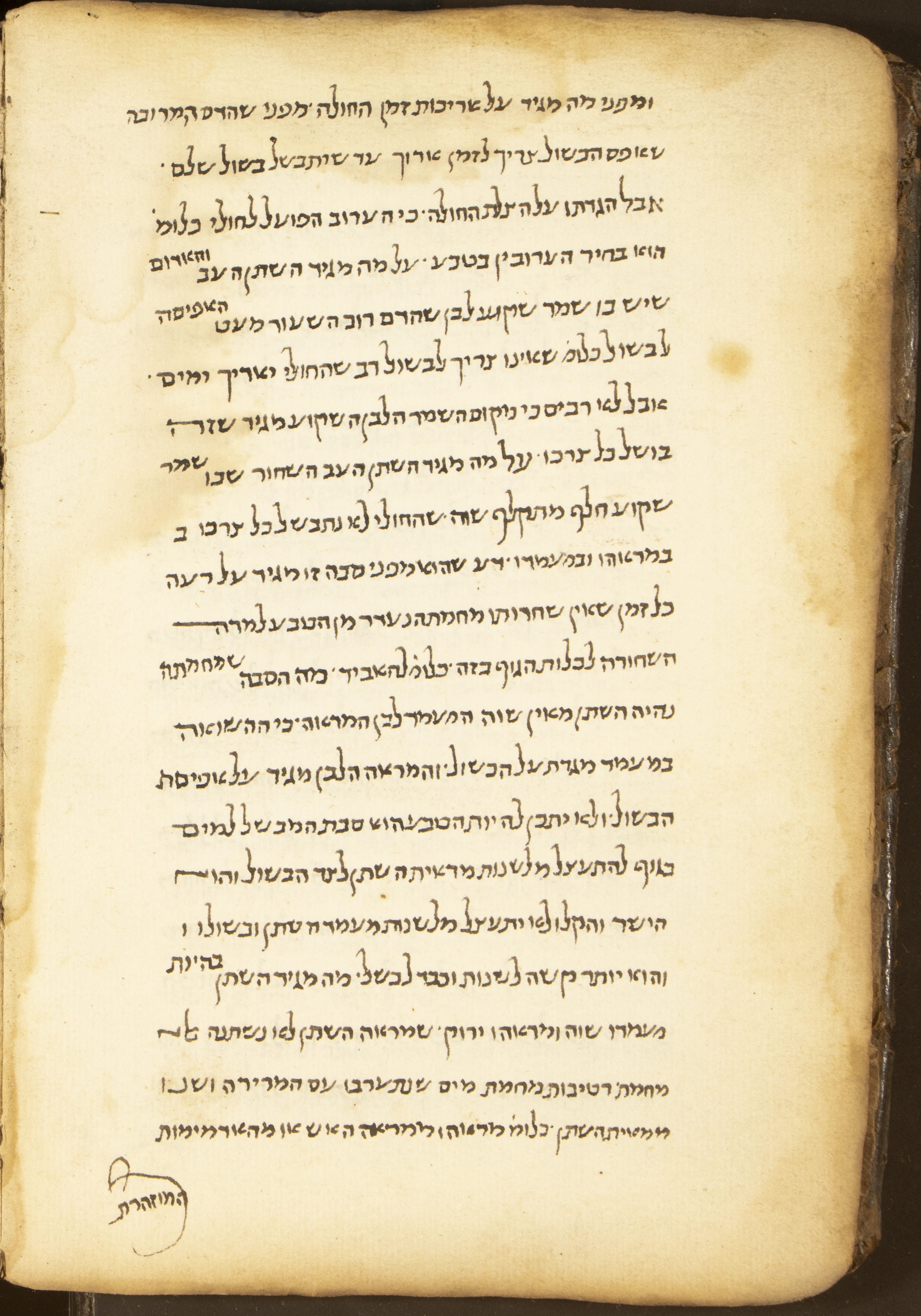Image of item, e.g. a manuscript page