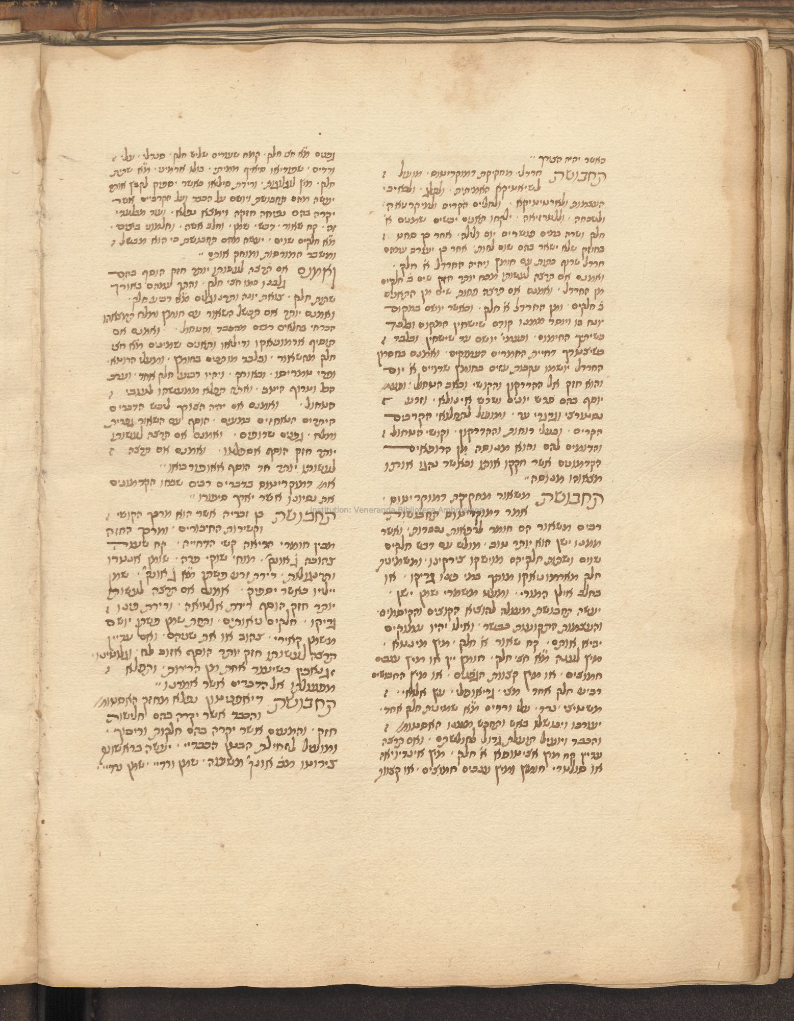 Image of item, e.g. a manuscript page