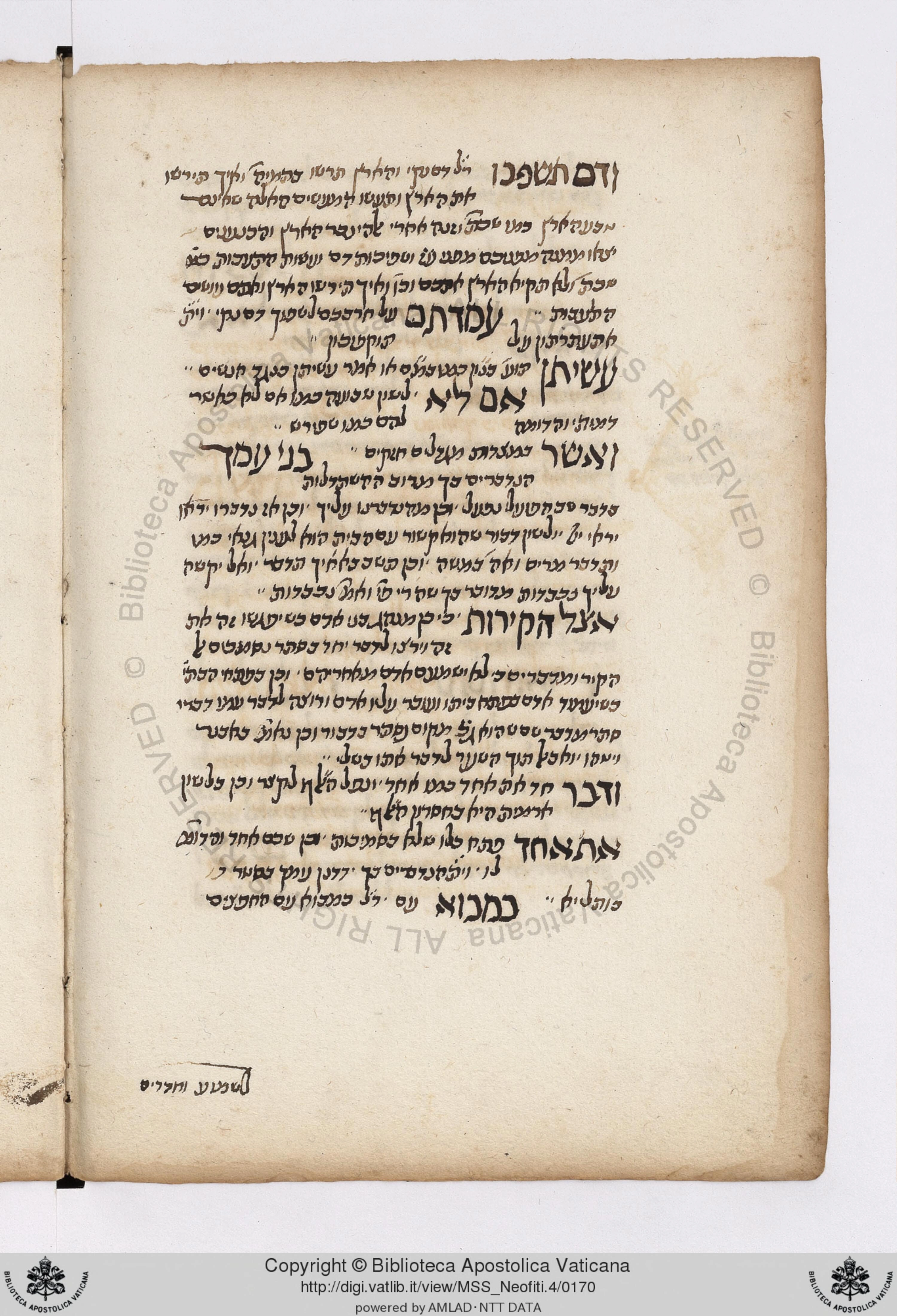 Image of item, e.g. a manuscript page