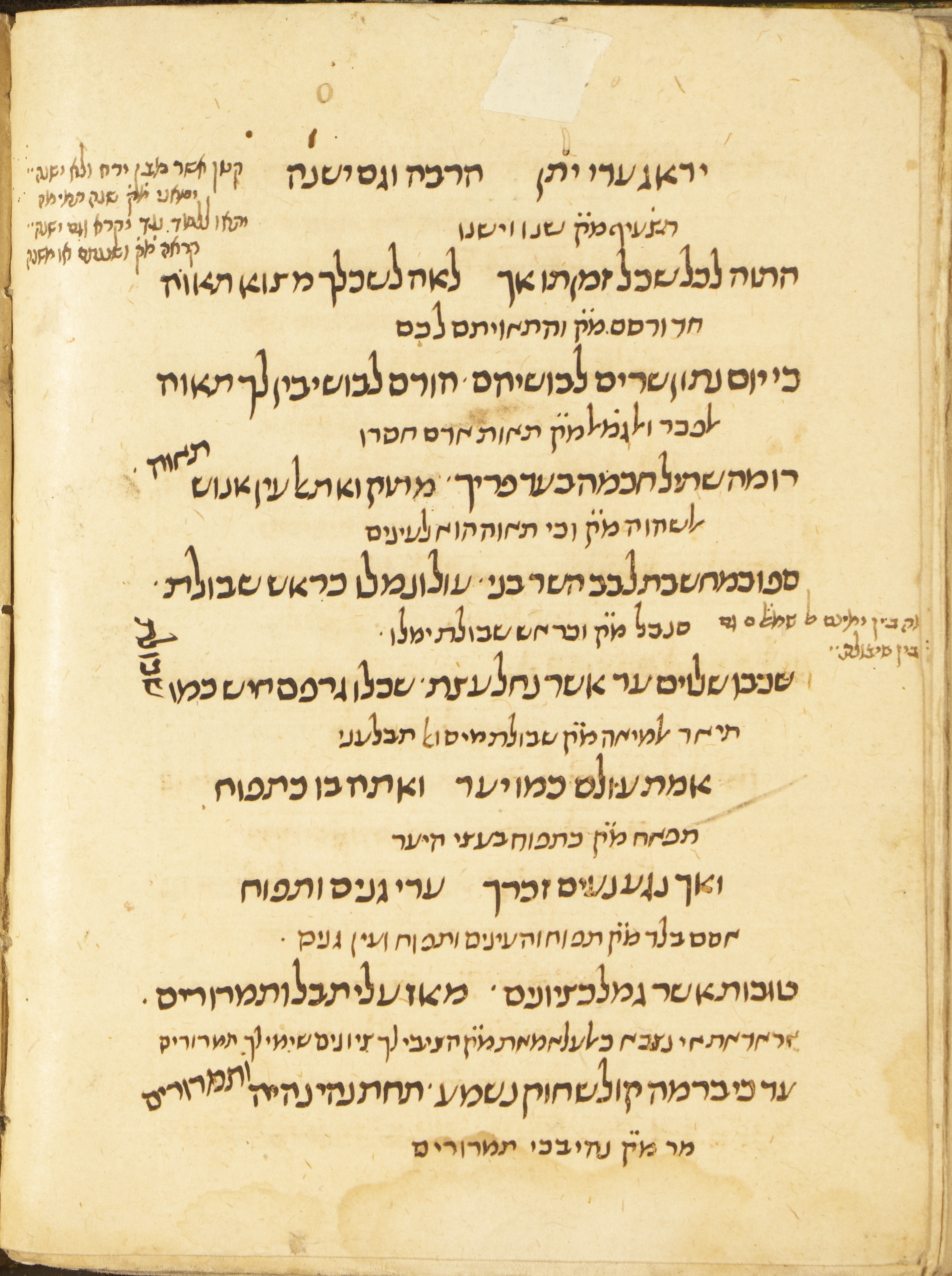Image of item, e.g. a manuscript page